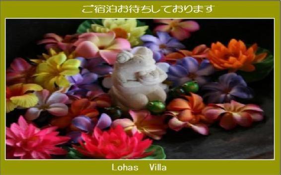 Lohas Villa