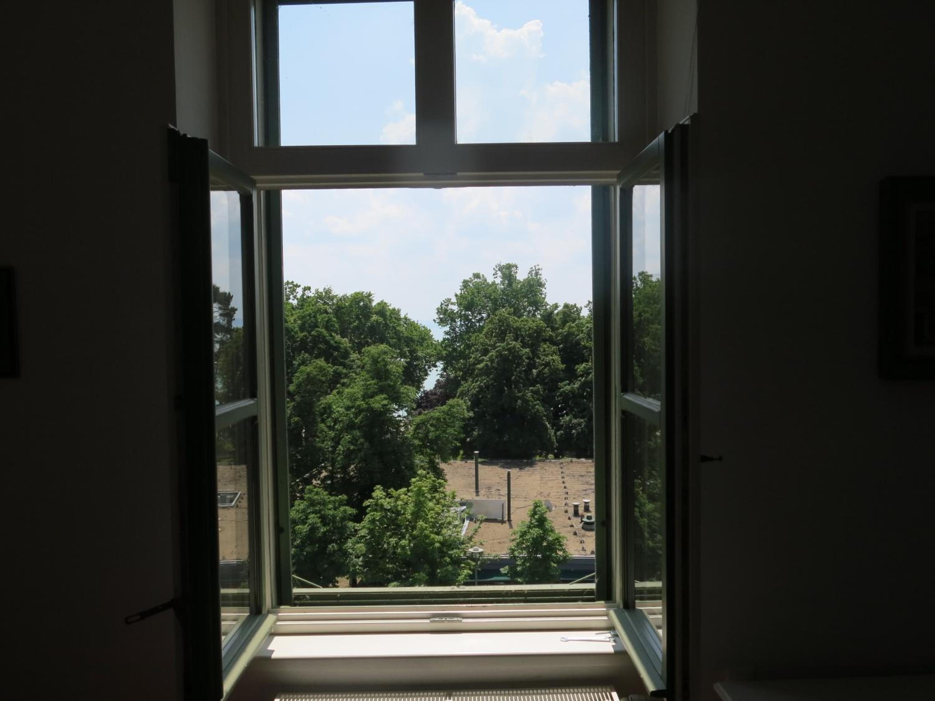 Photo 34