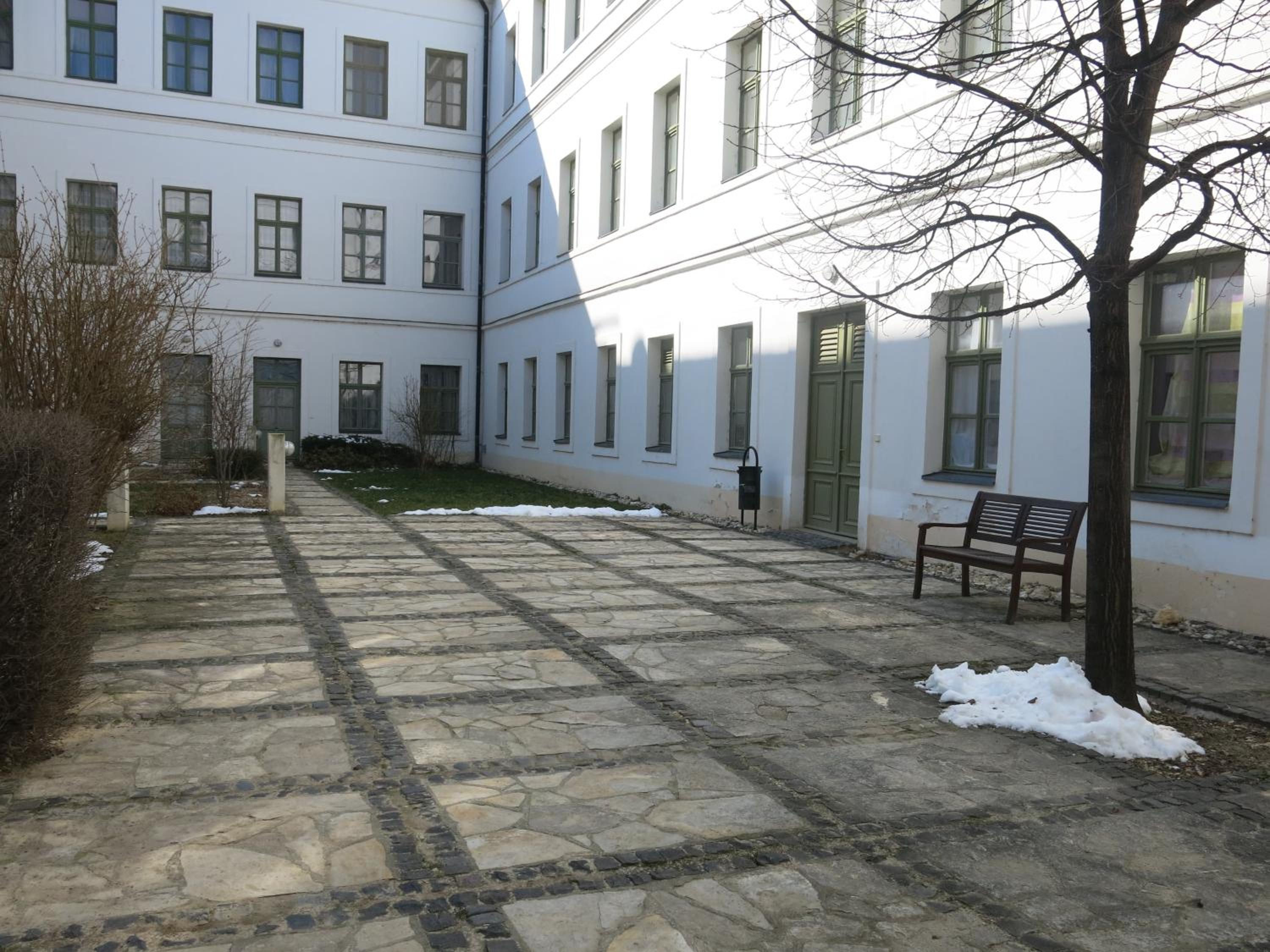 Photo 7