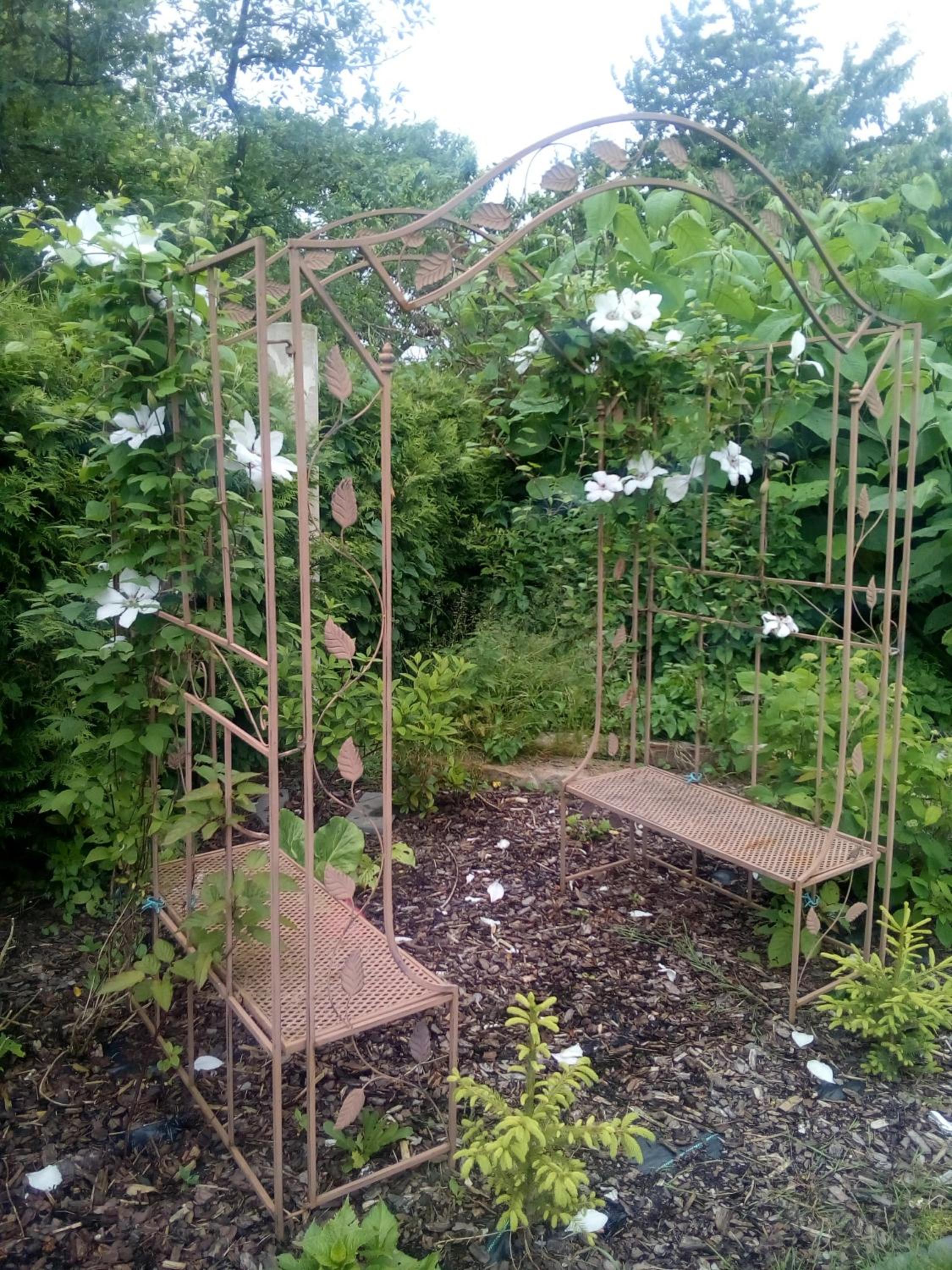 Photo 17