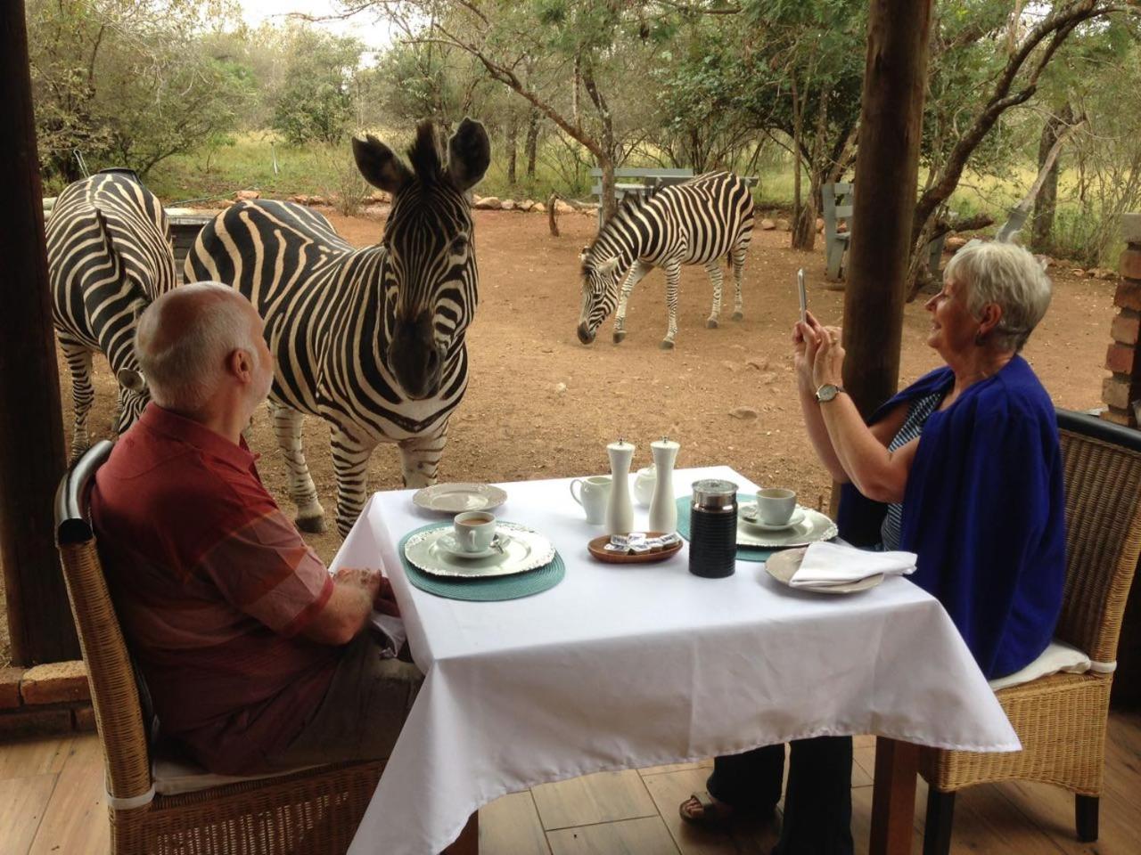 Imbube Safari Lodge