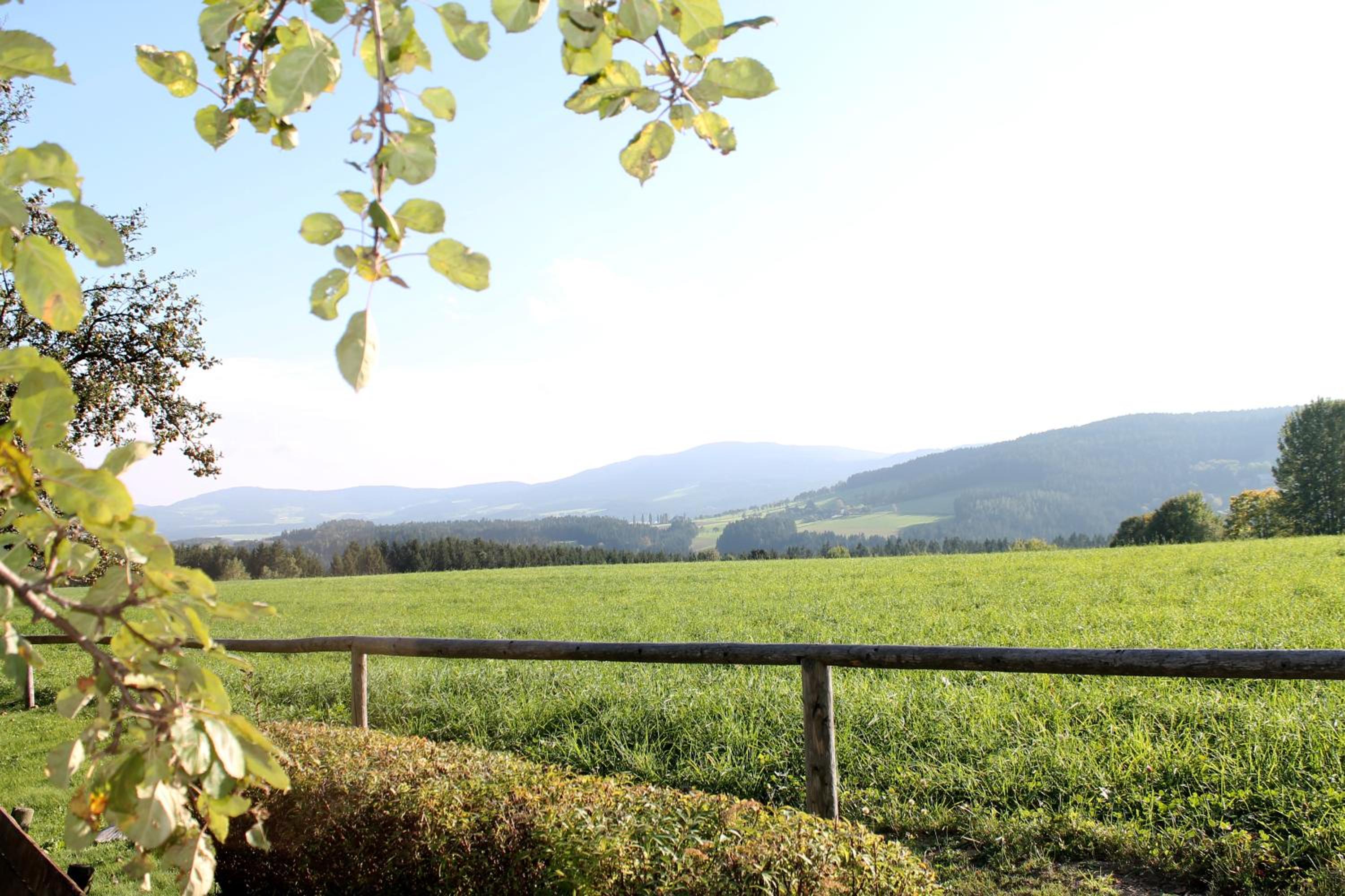 Roseggerhof
