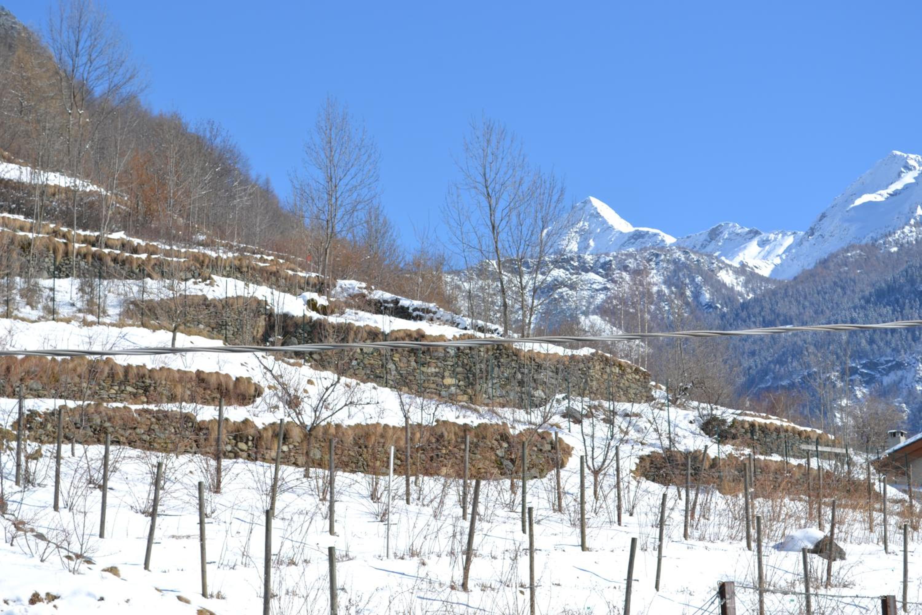 Casa Vacanza La Rocca