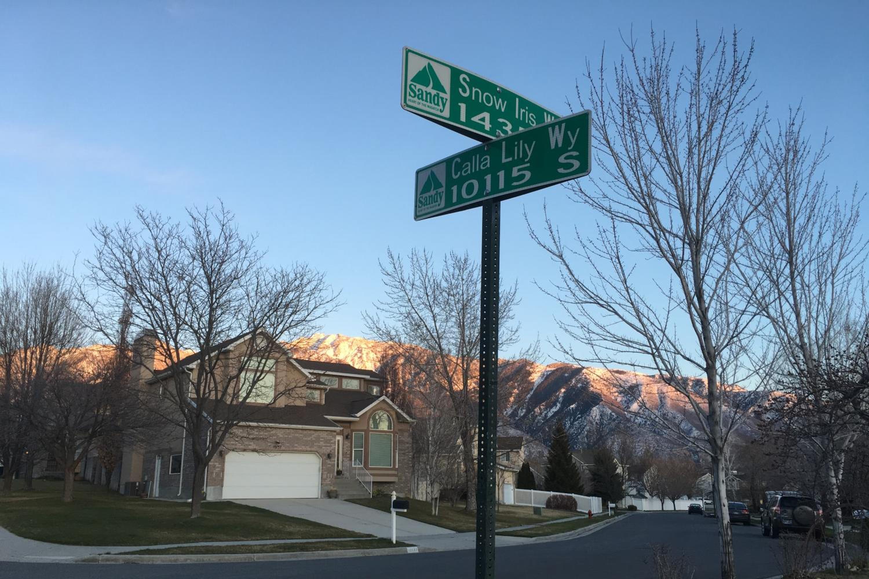 Utah Ski House