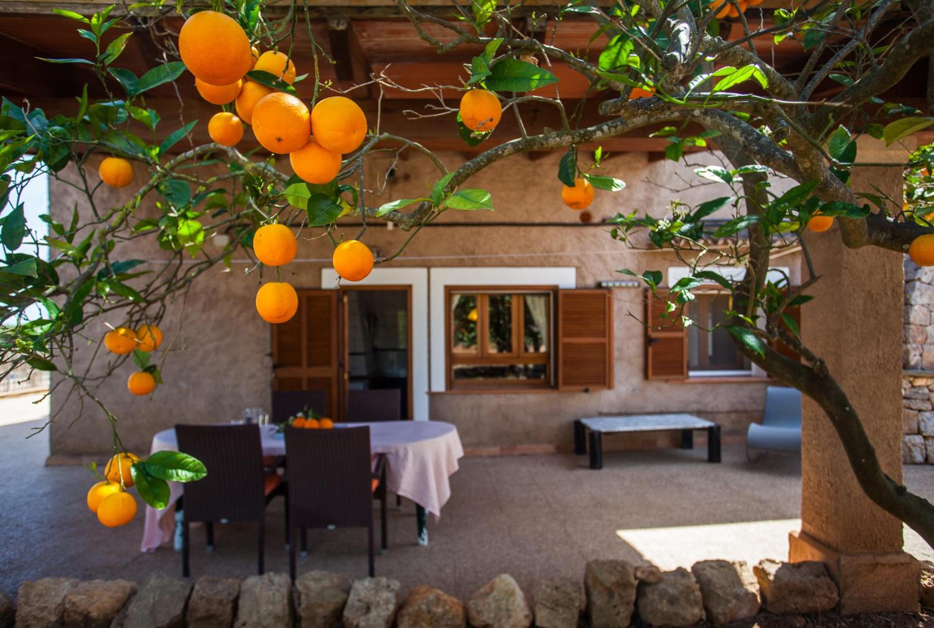 Sa Volta Nova photo 3