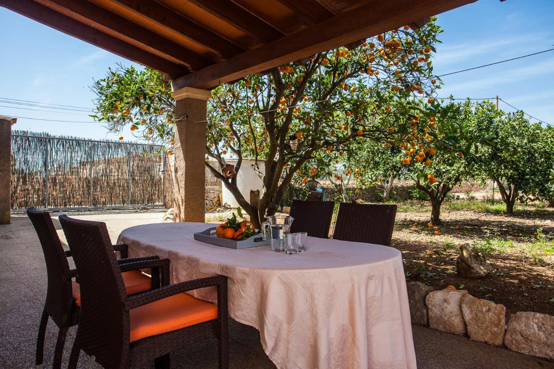 Sa Volta Nova photo 5