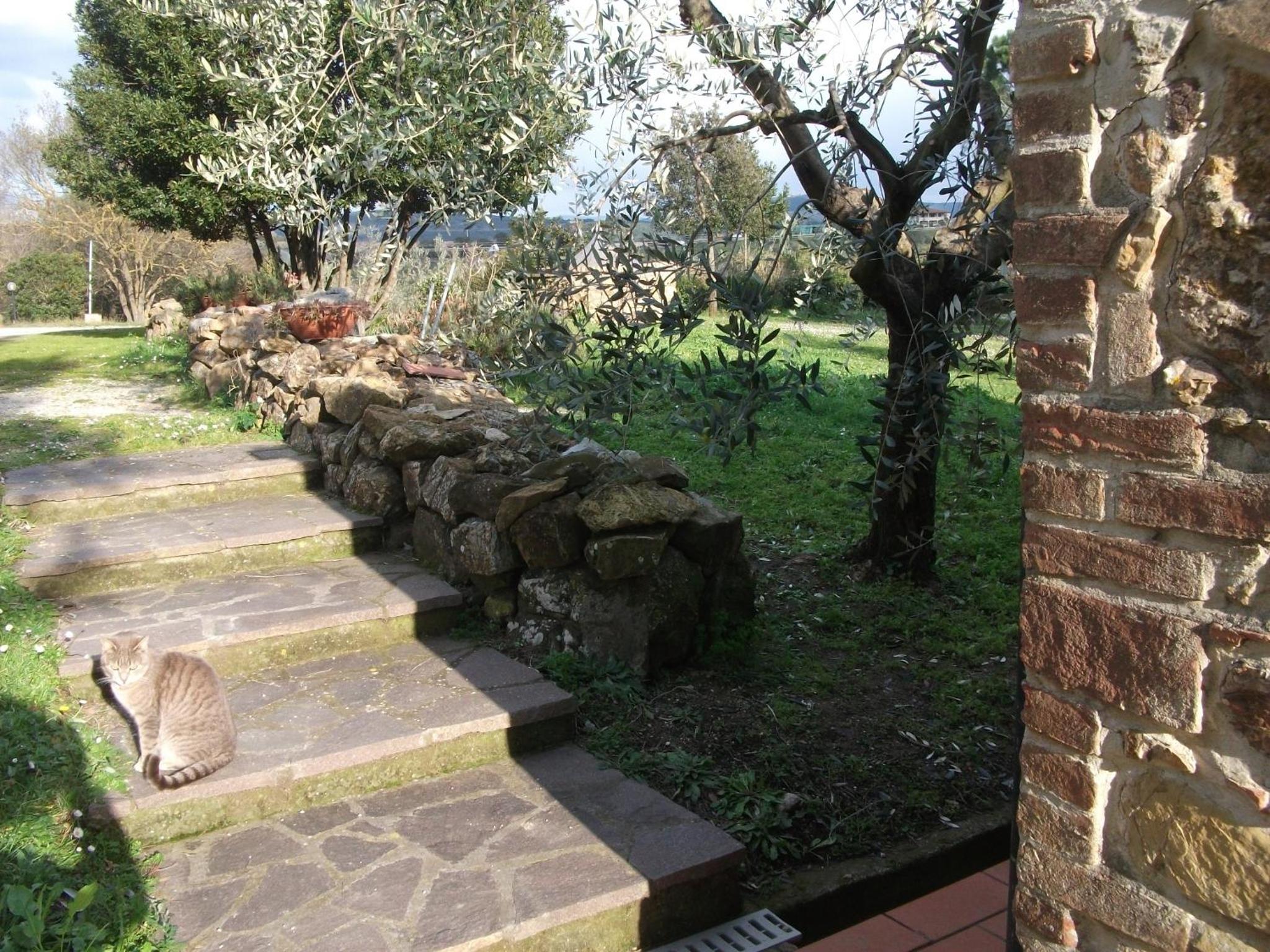 Photo 30