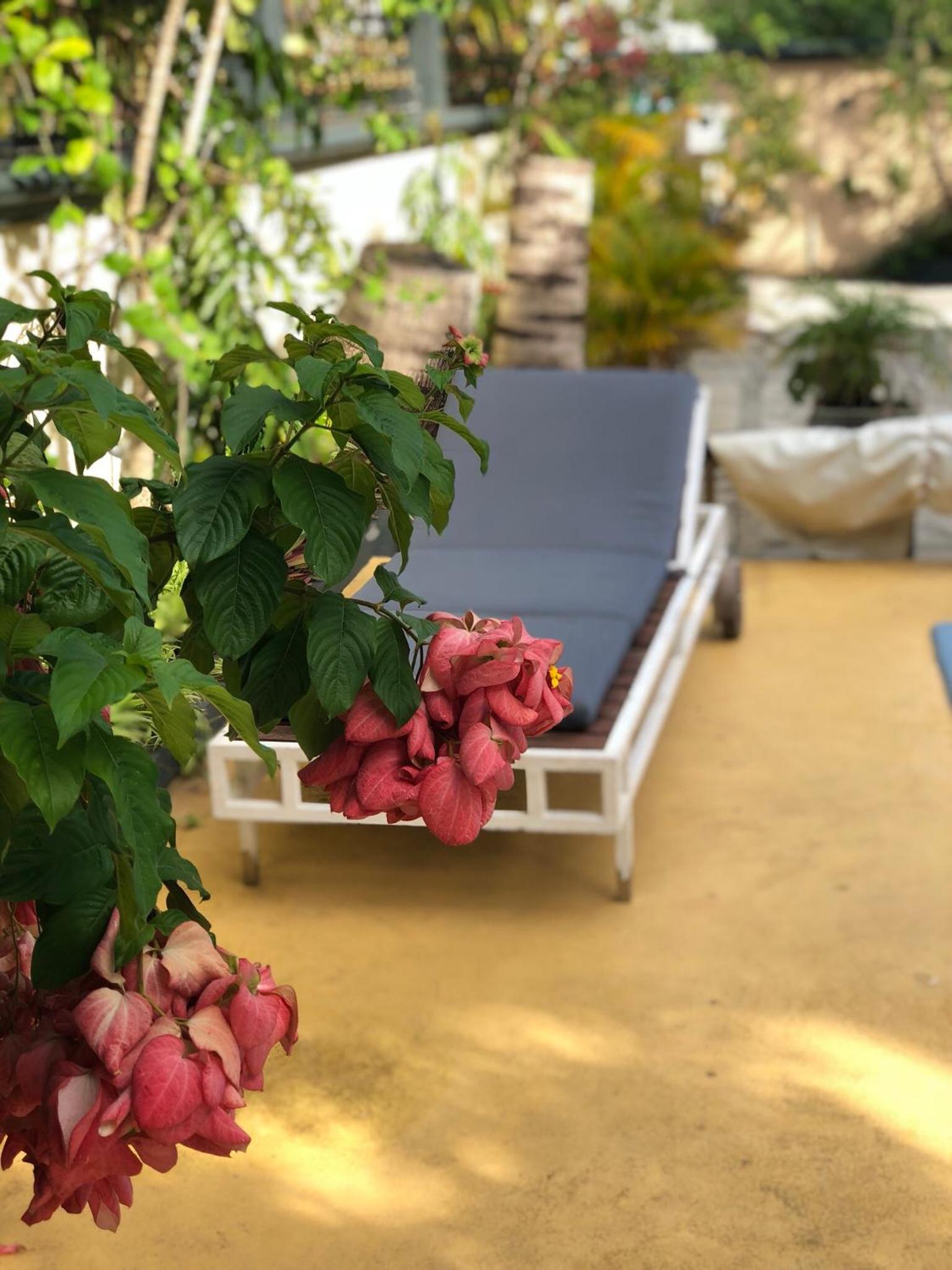 Gardenia Villa — photo 3