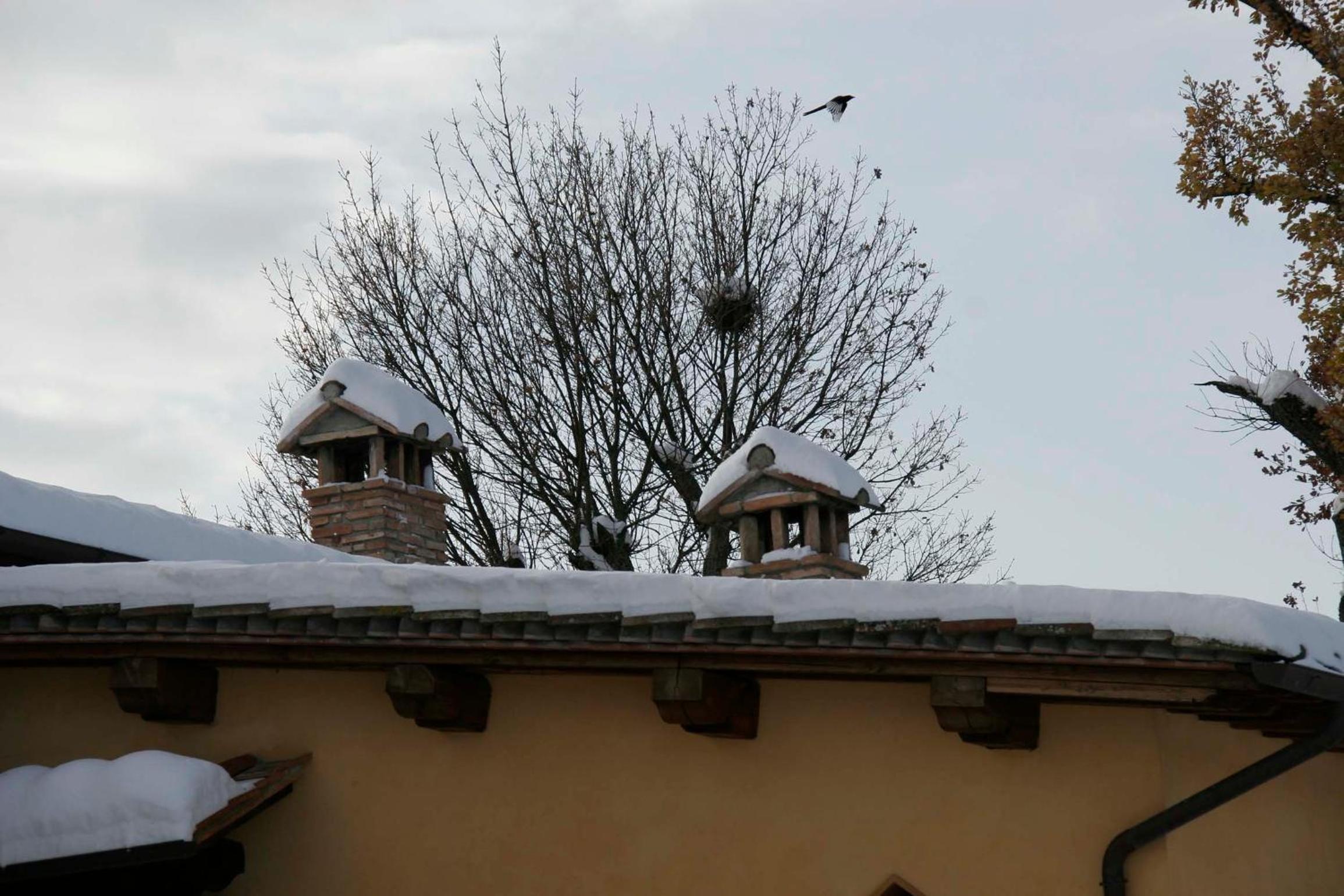 Il Nido di Gabbiano