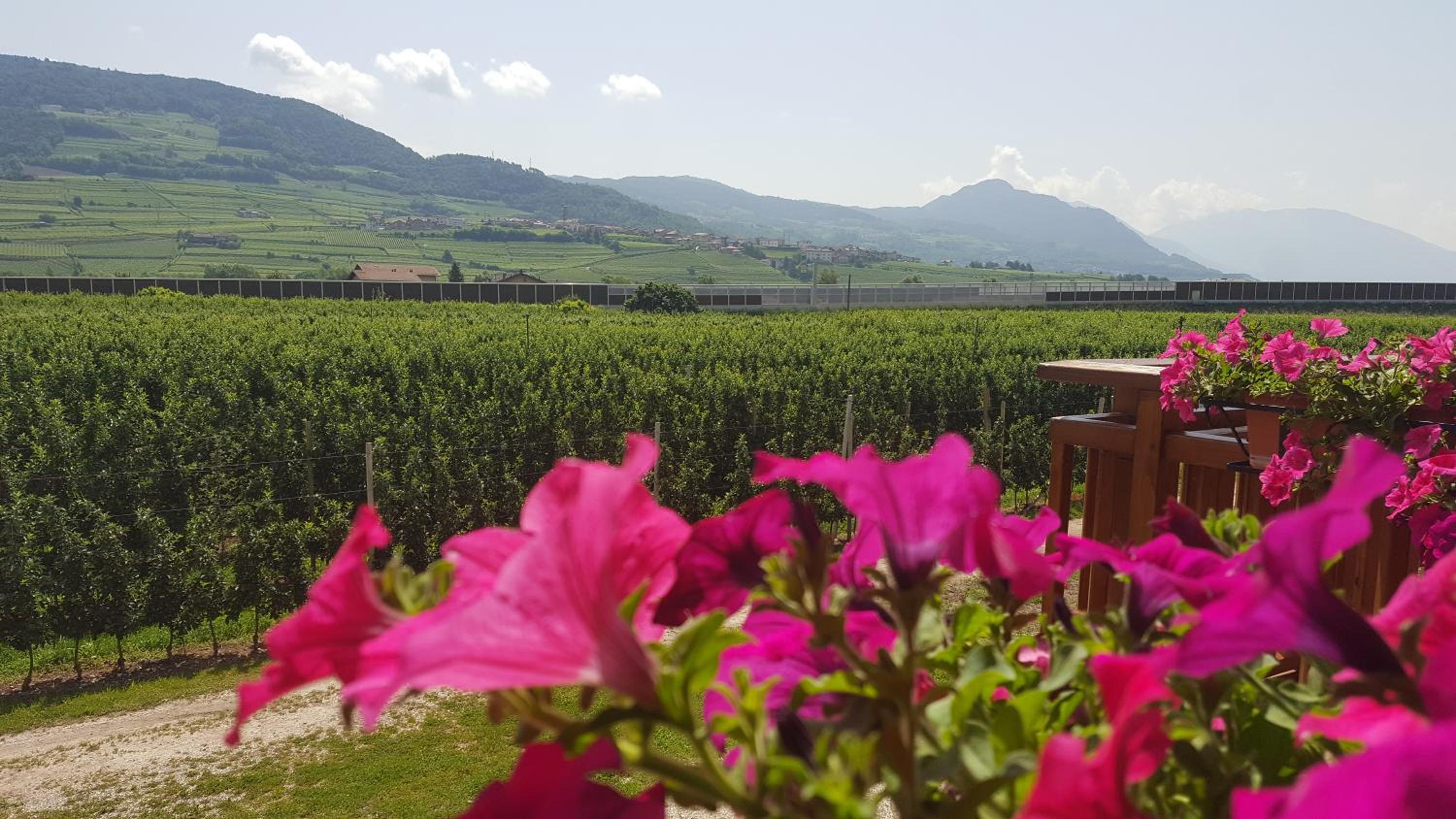 Agritur Clementi
