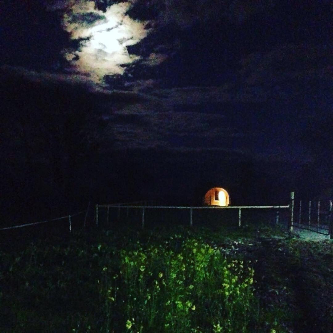 Carrigeen Glamping view 2