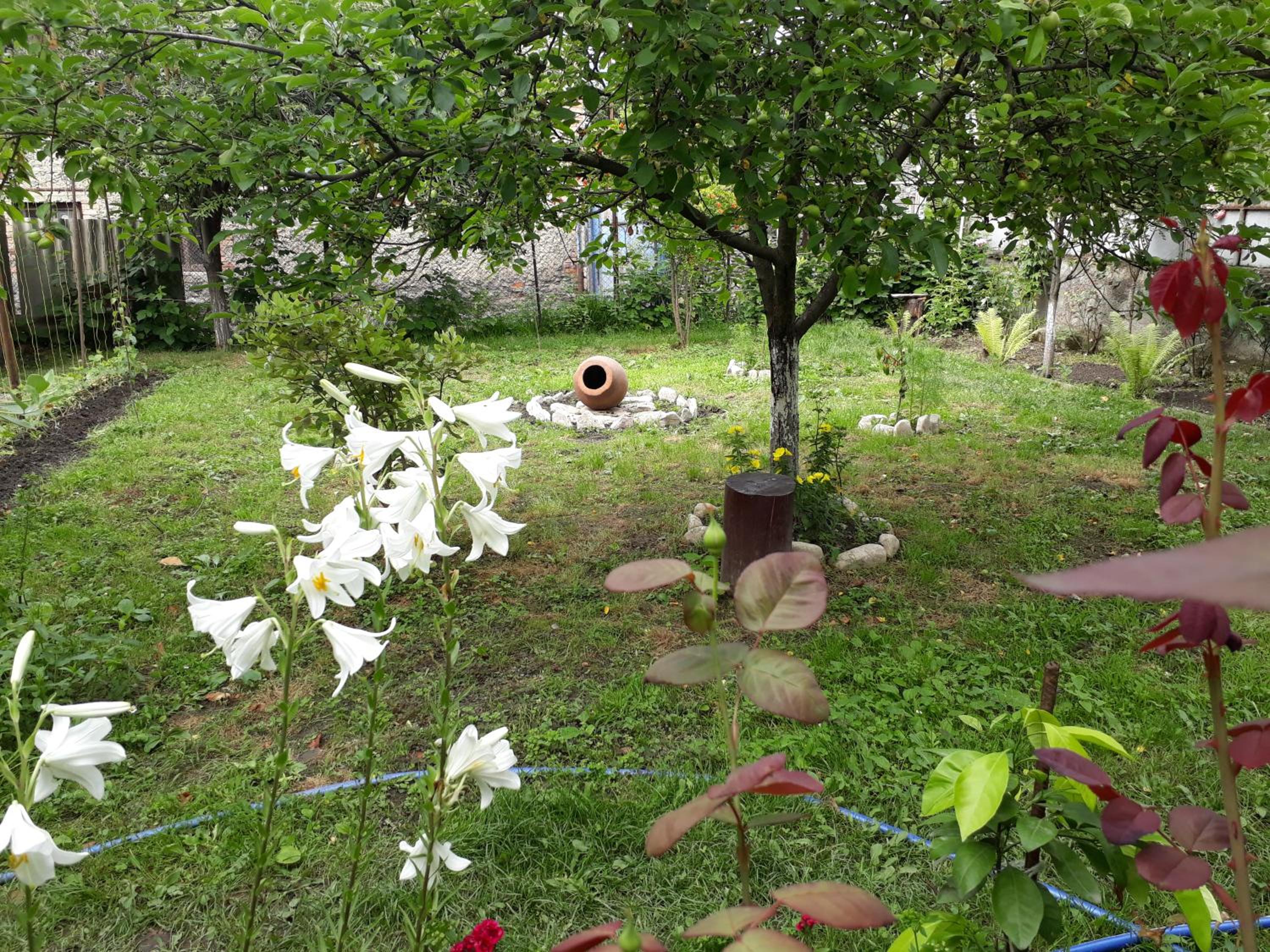 Photo 49