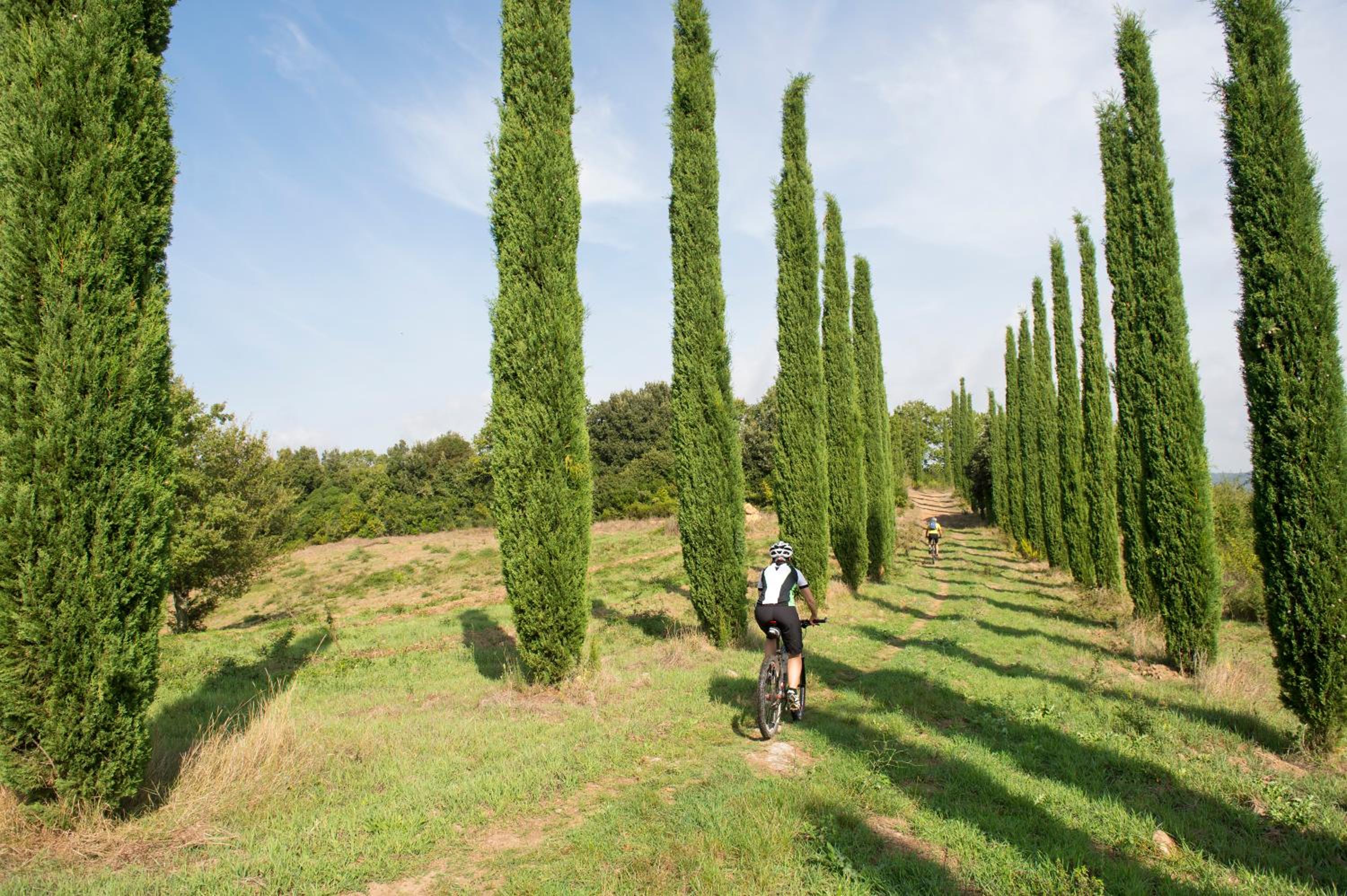 Photo 112