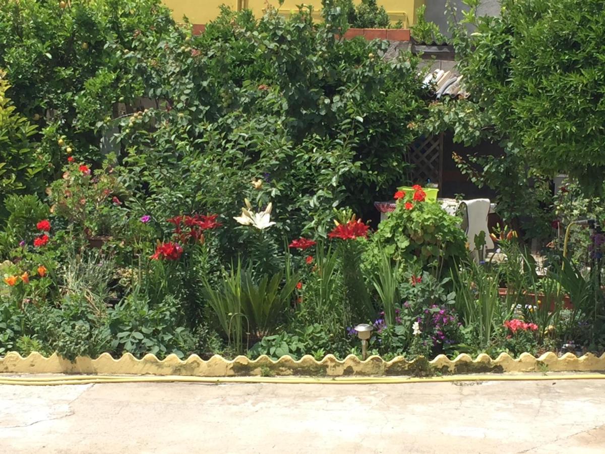 Photo 23