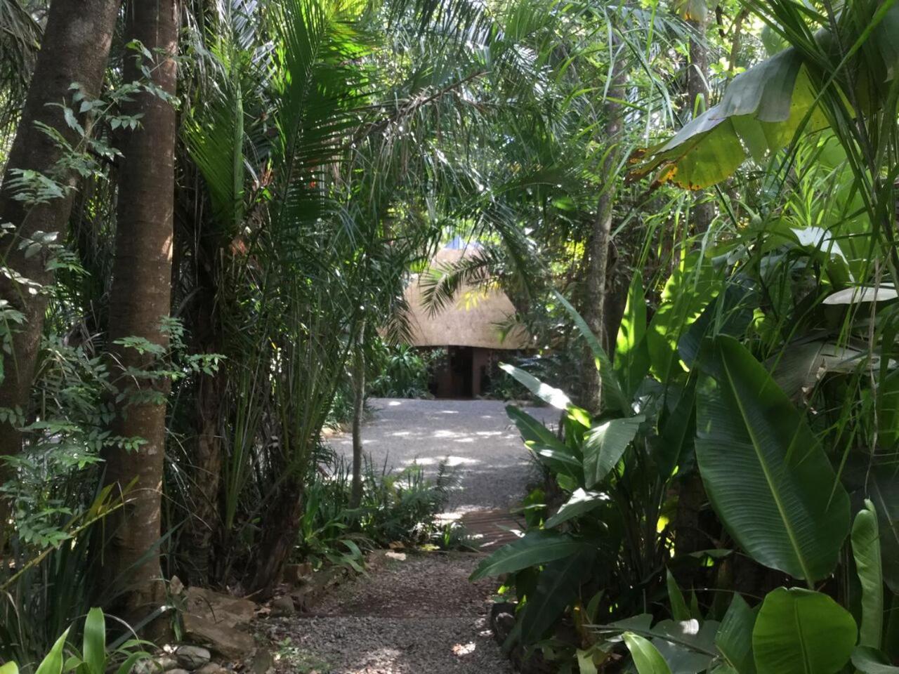 Phophonyane Falls Ecolodge