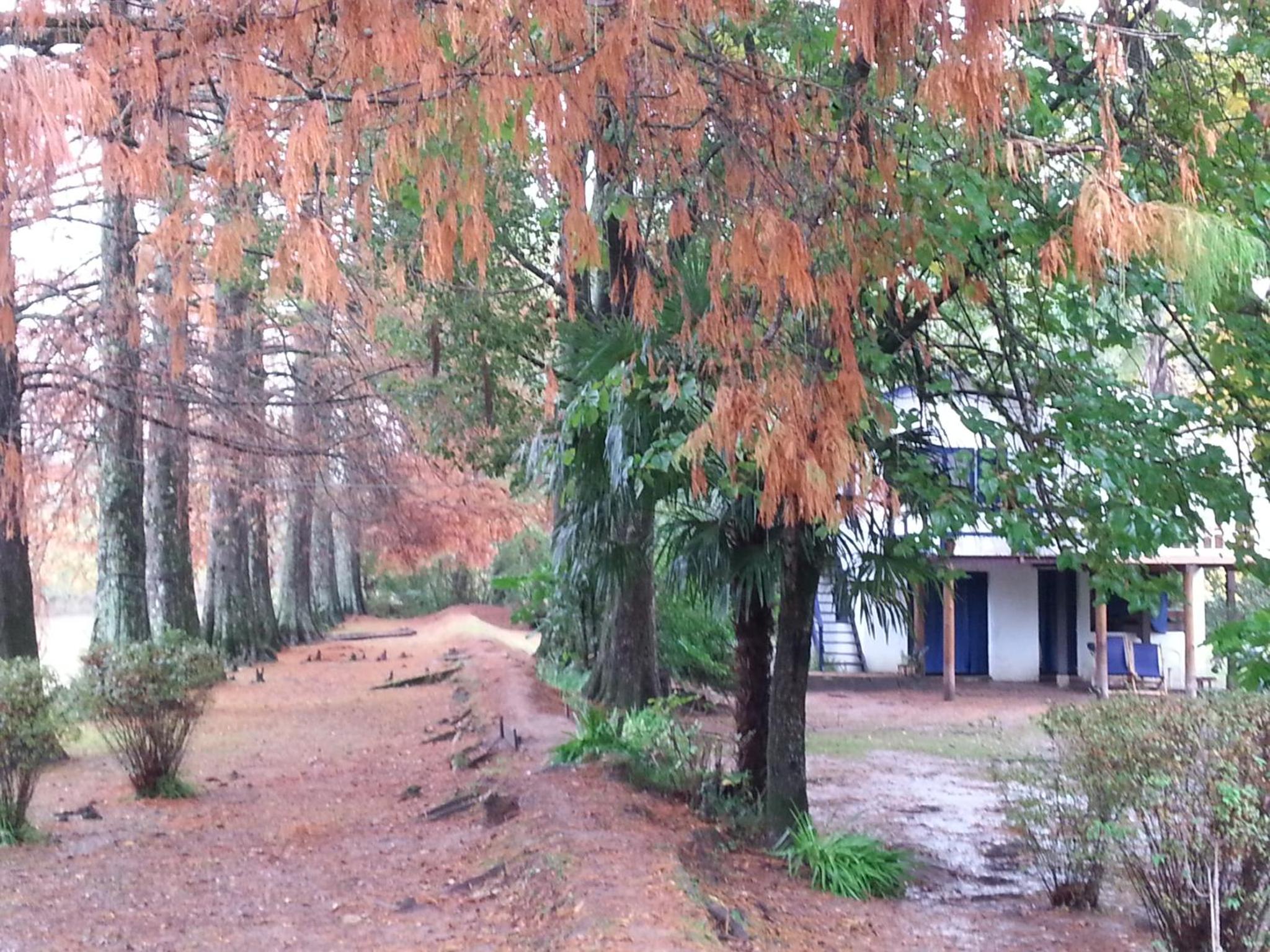 Casa del Bosque