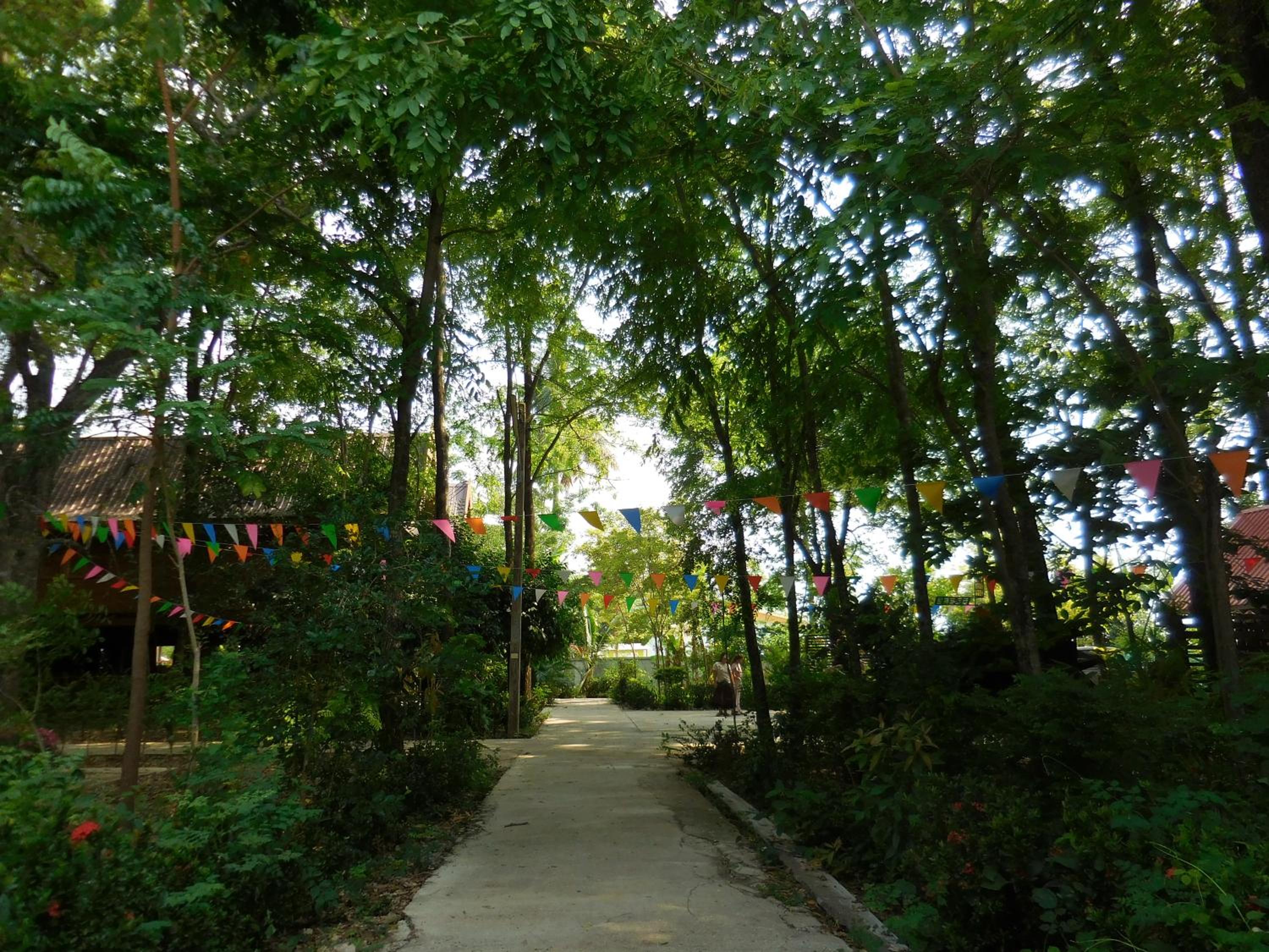Photo 46