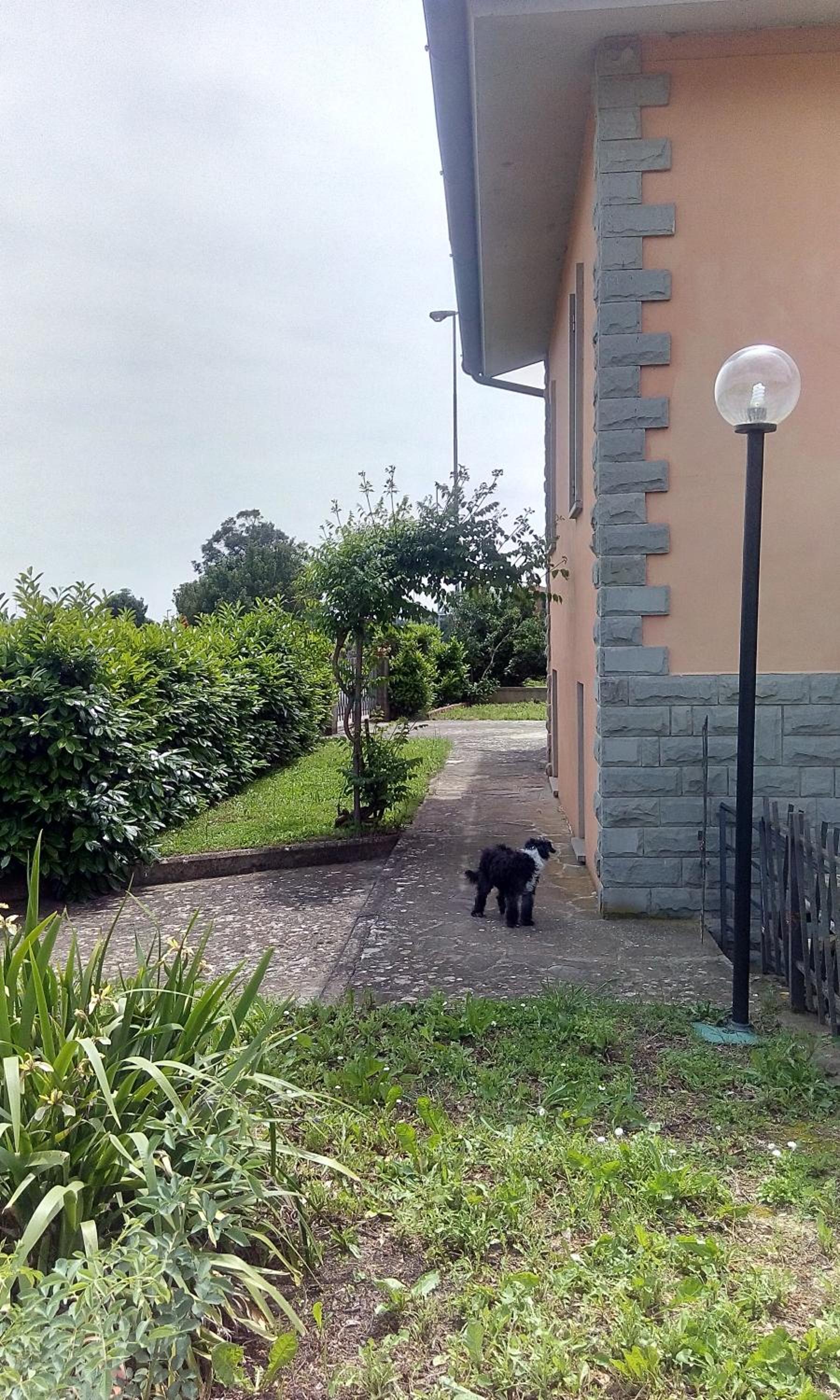 Photo 29