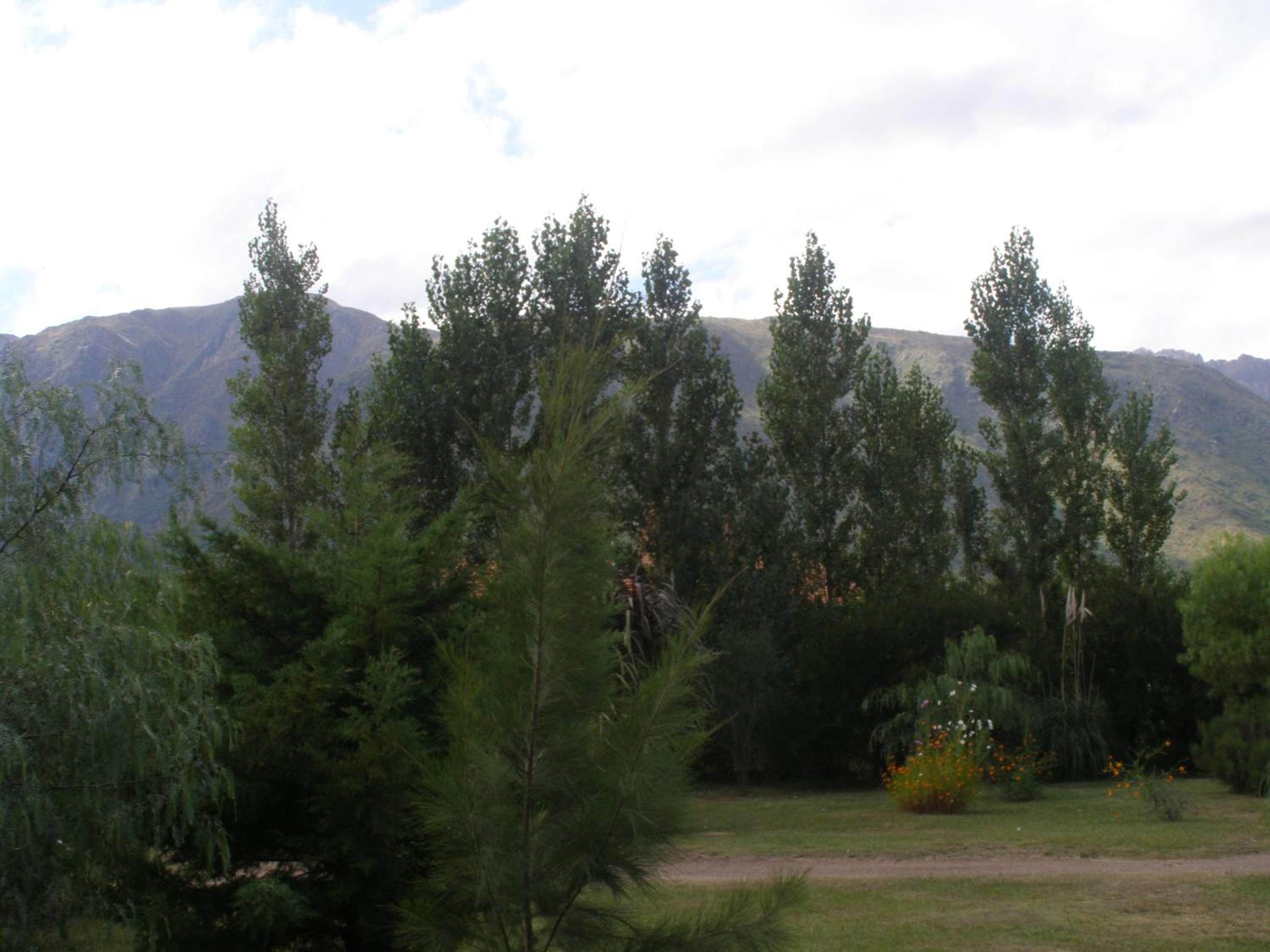 Cabañas Valentina