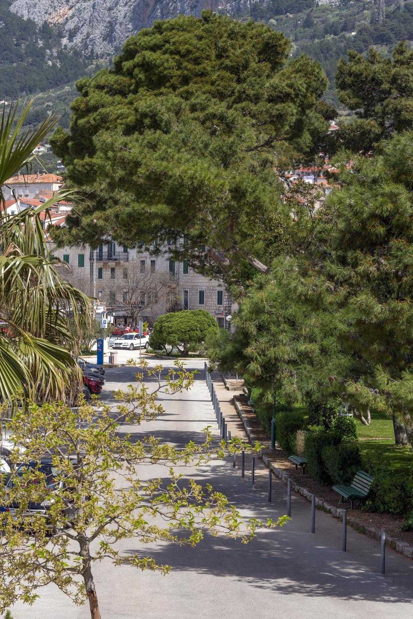 Studios Lulic view 3