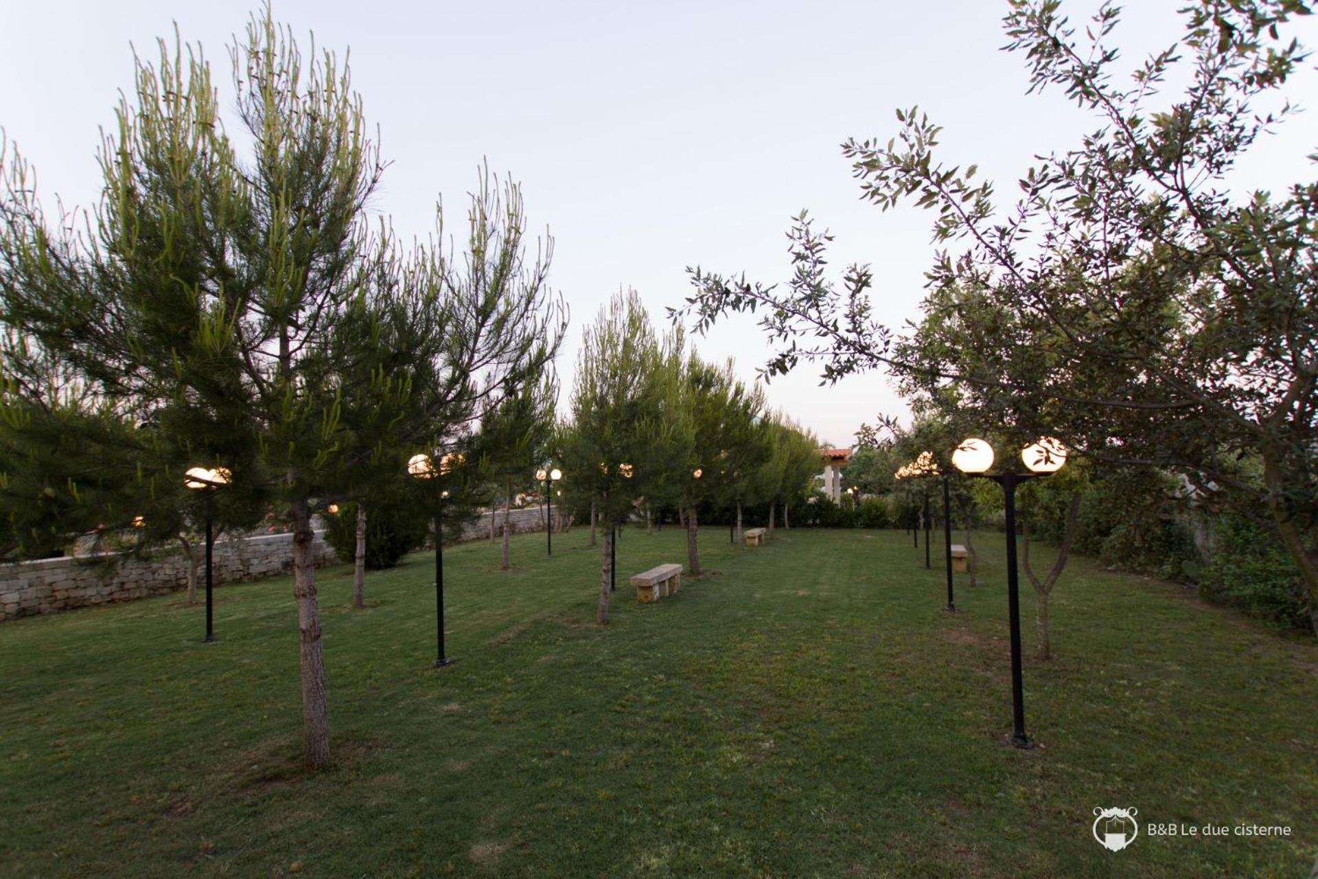 Photo 20