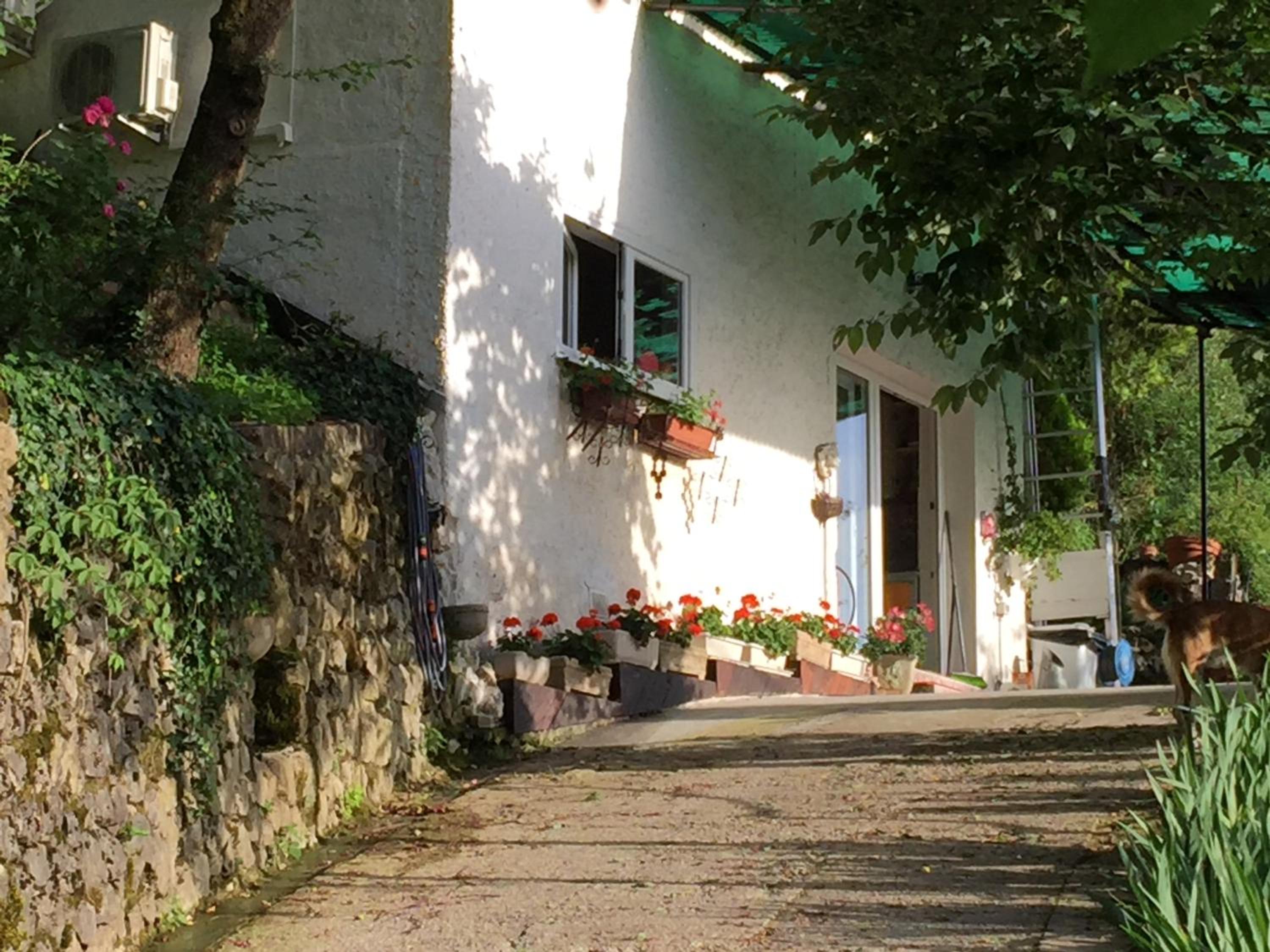 Photo 8