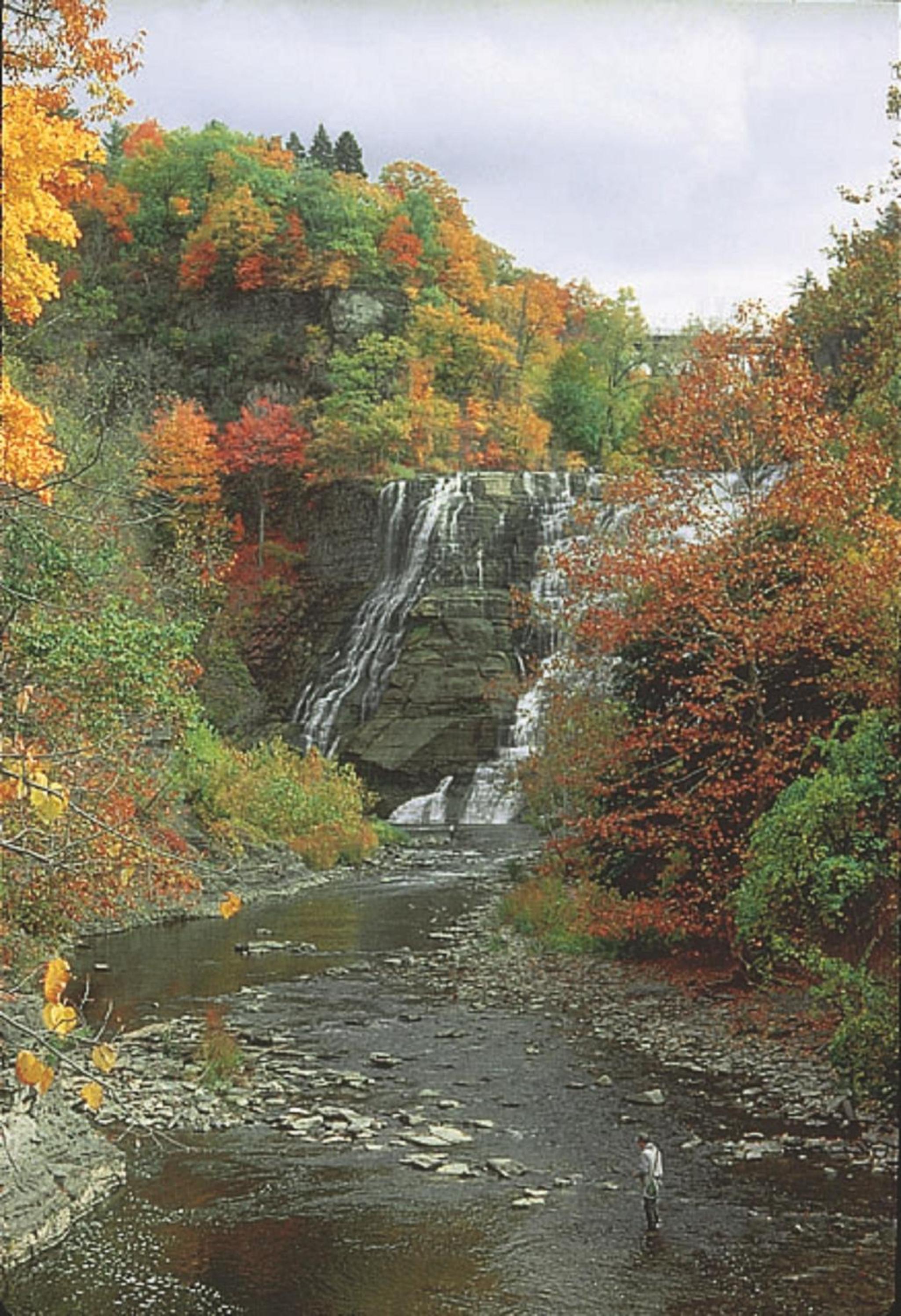 Meadow Court Inn - Ithaca, Billede 13