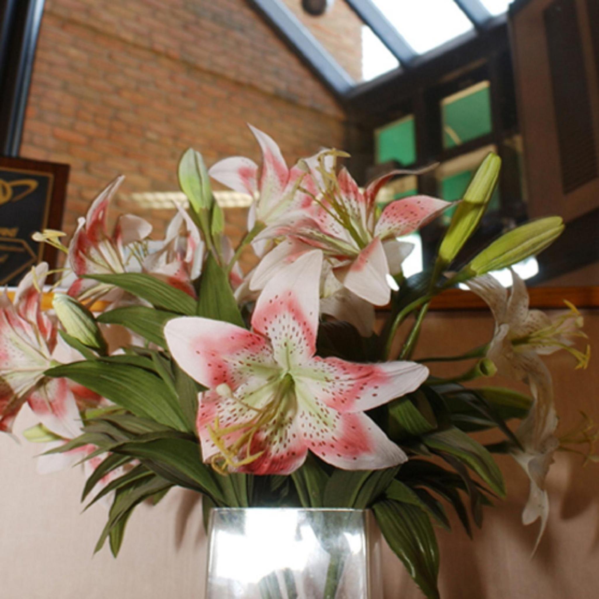 Meadow Court Inn - Ithaca, Billede 14