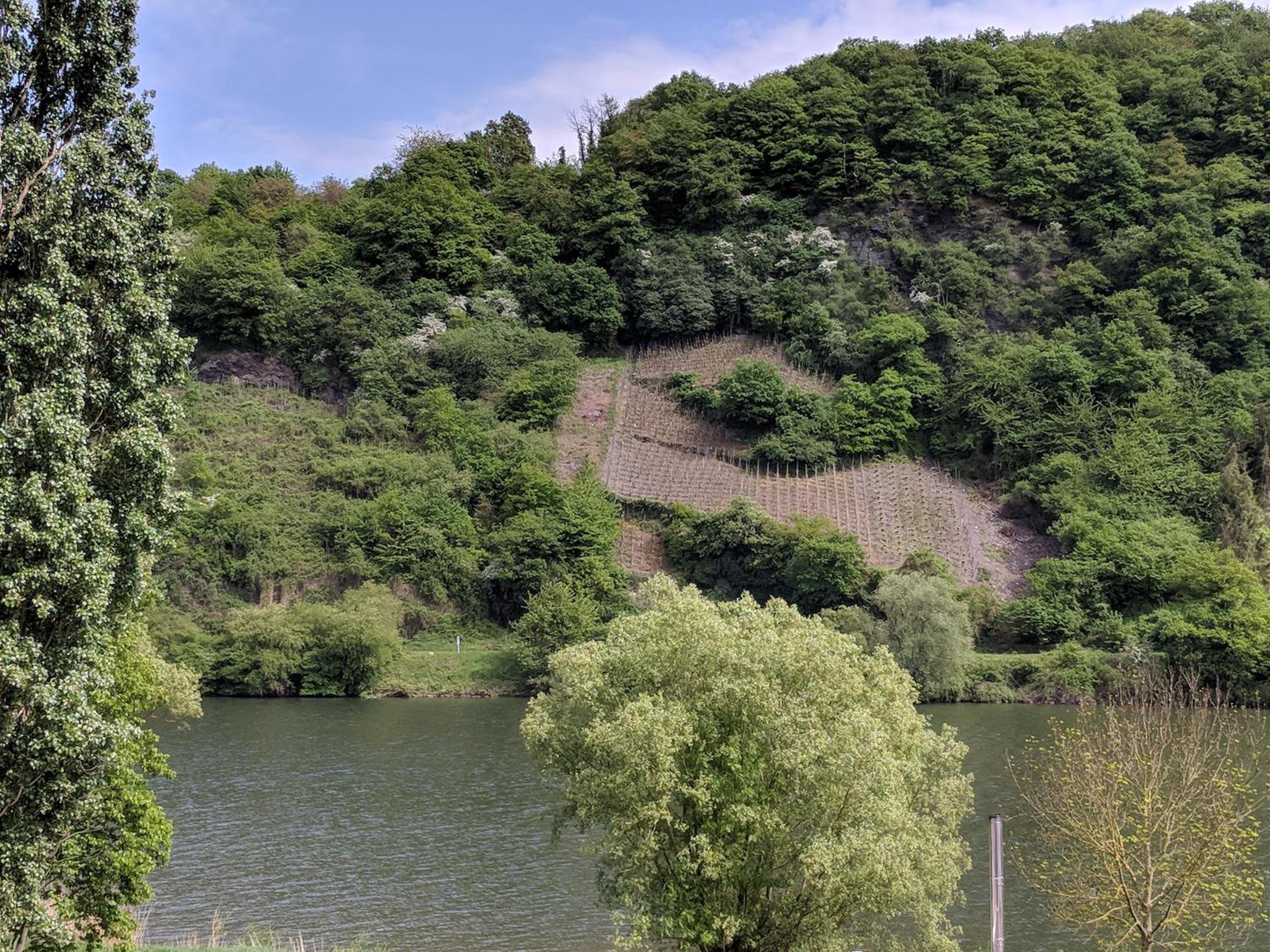 Ferienwohnung "Zum Klosterruinenblick" view 4