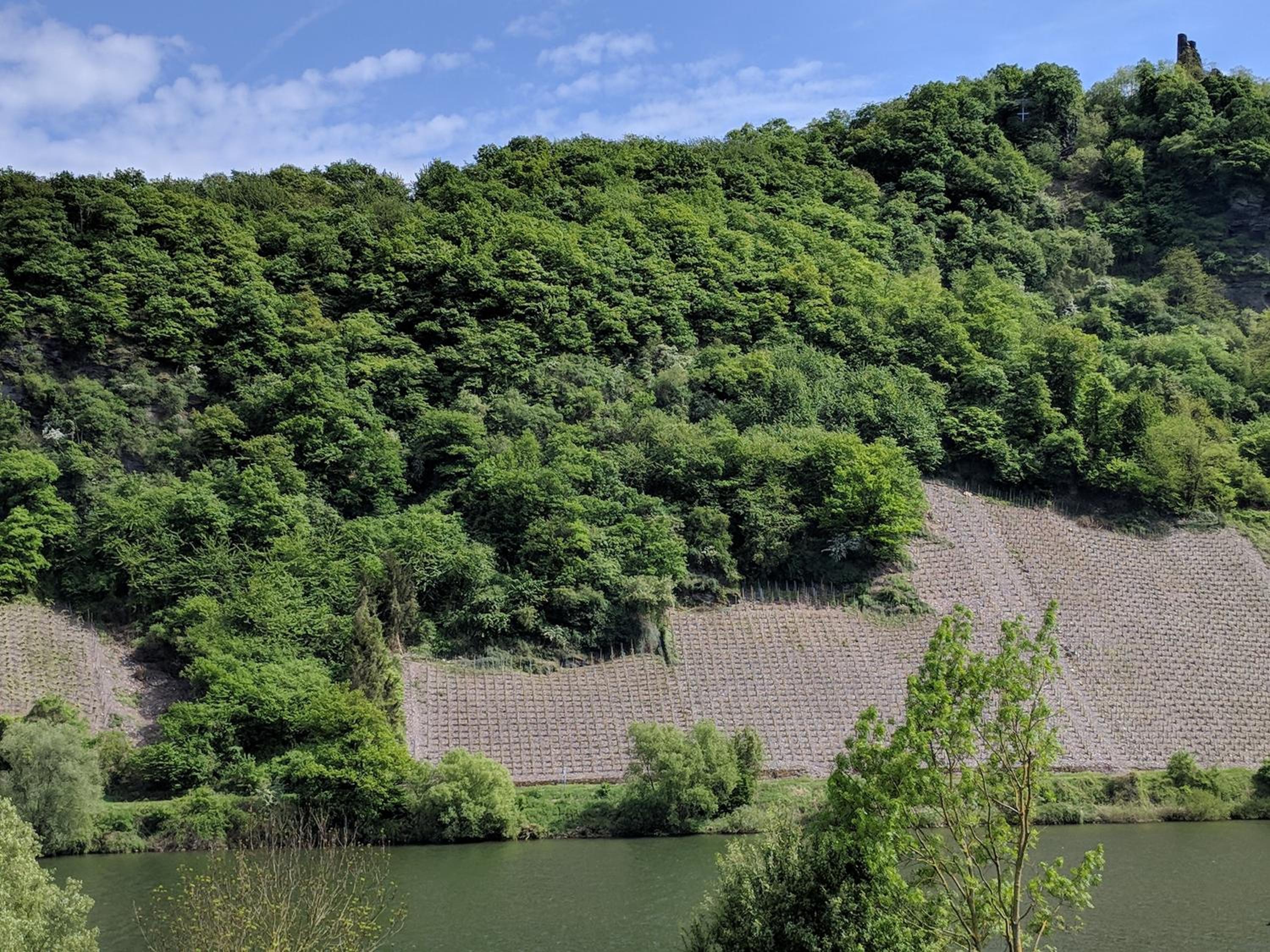 Ferienwohnung "Zum Klosterruinenblick" view 5