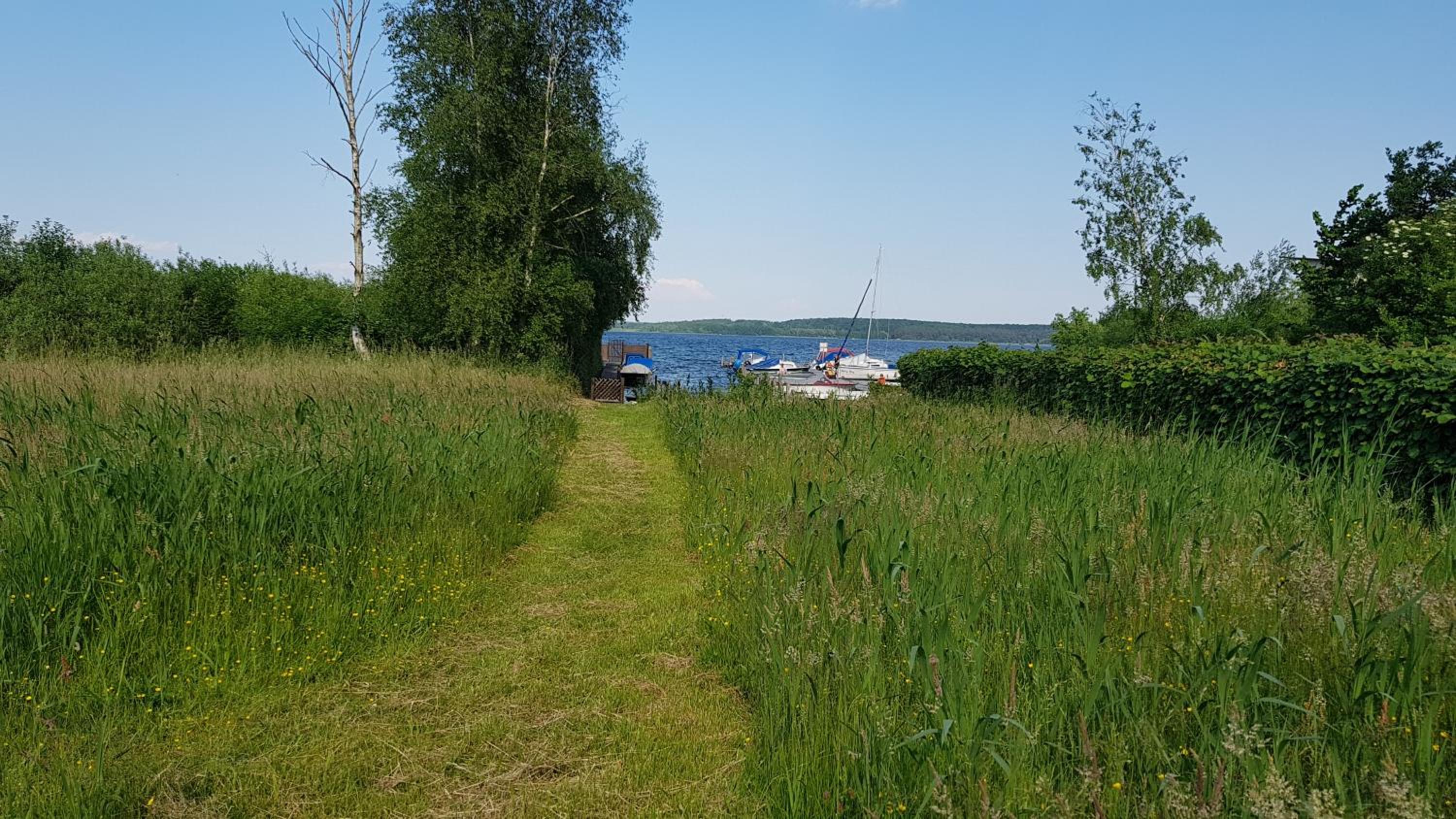 Photo 32