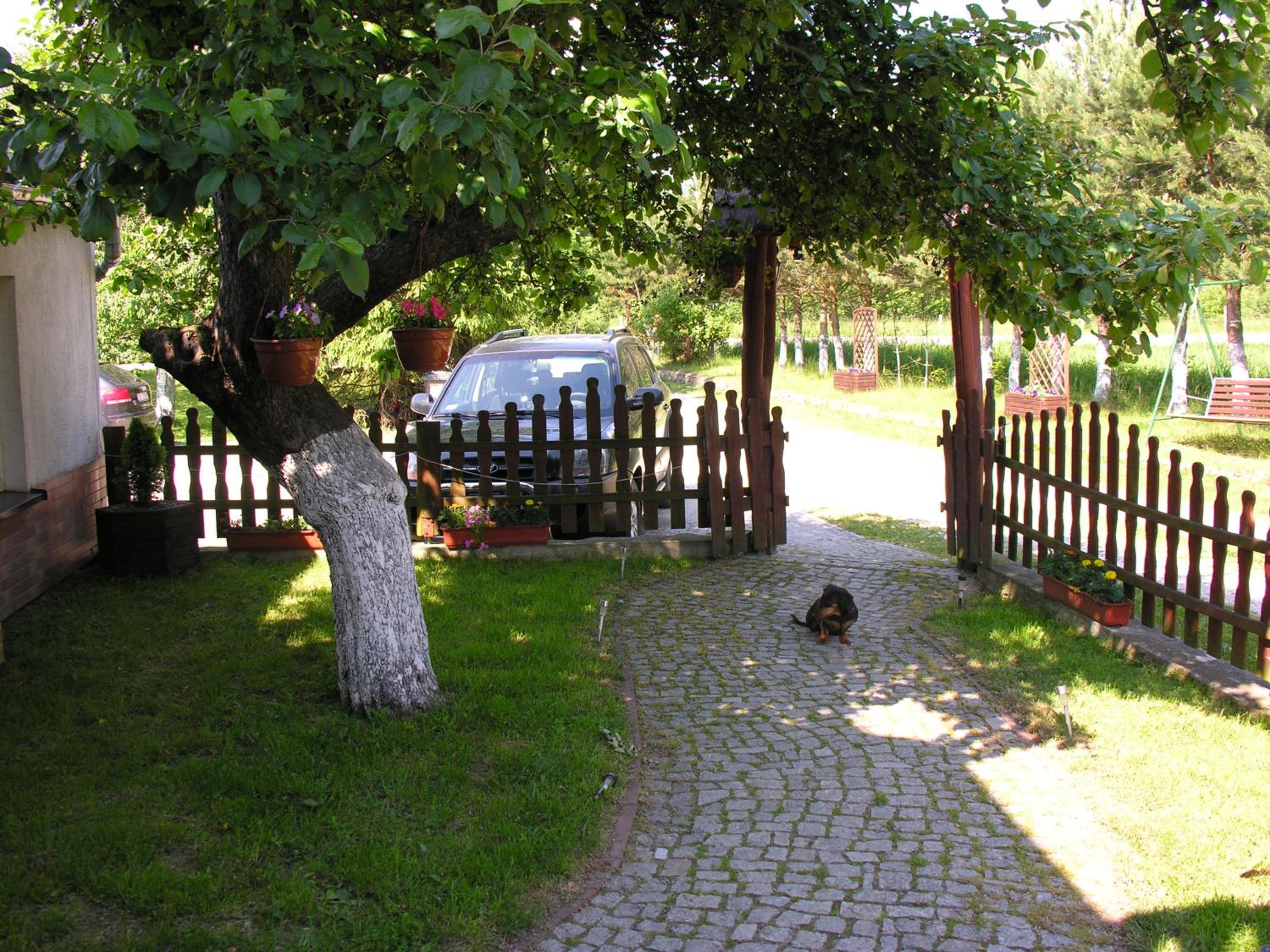 Photo 27