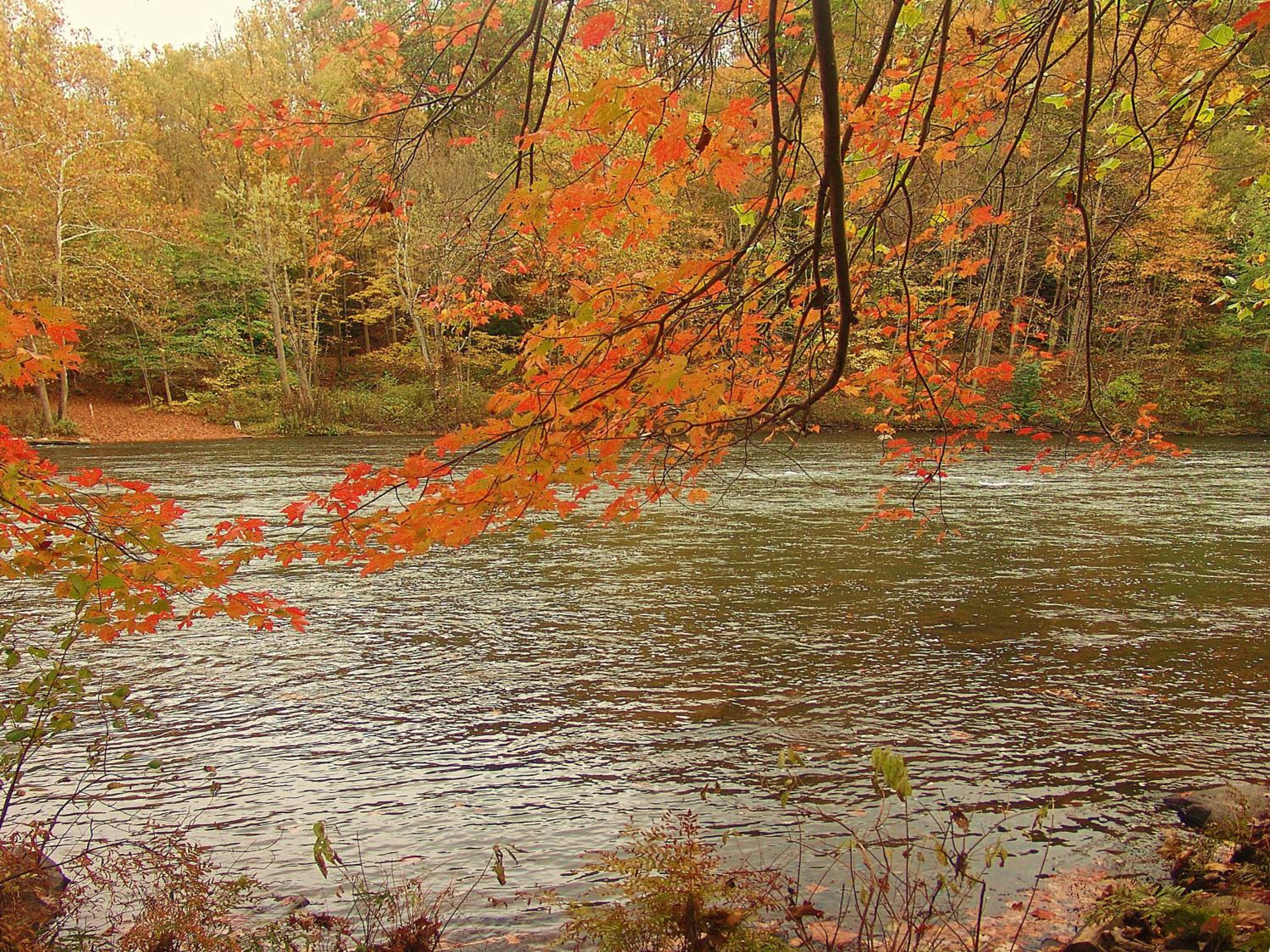 Paddler's Lane Retreat