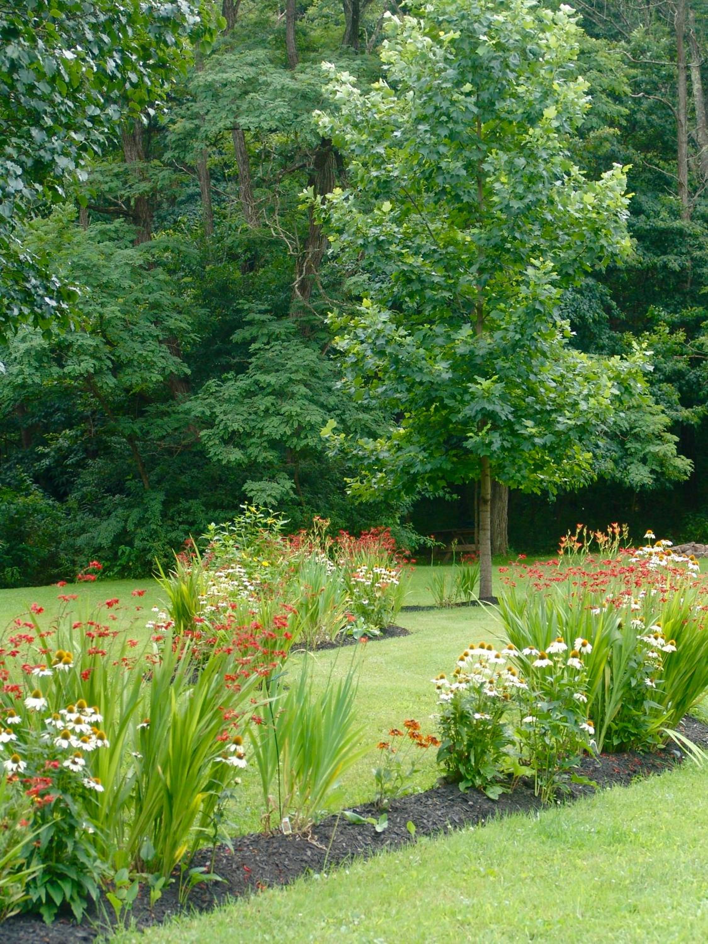 Paddler's Lane Retreat