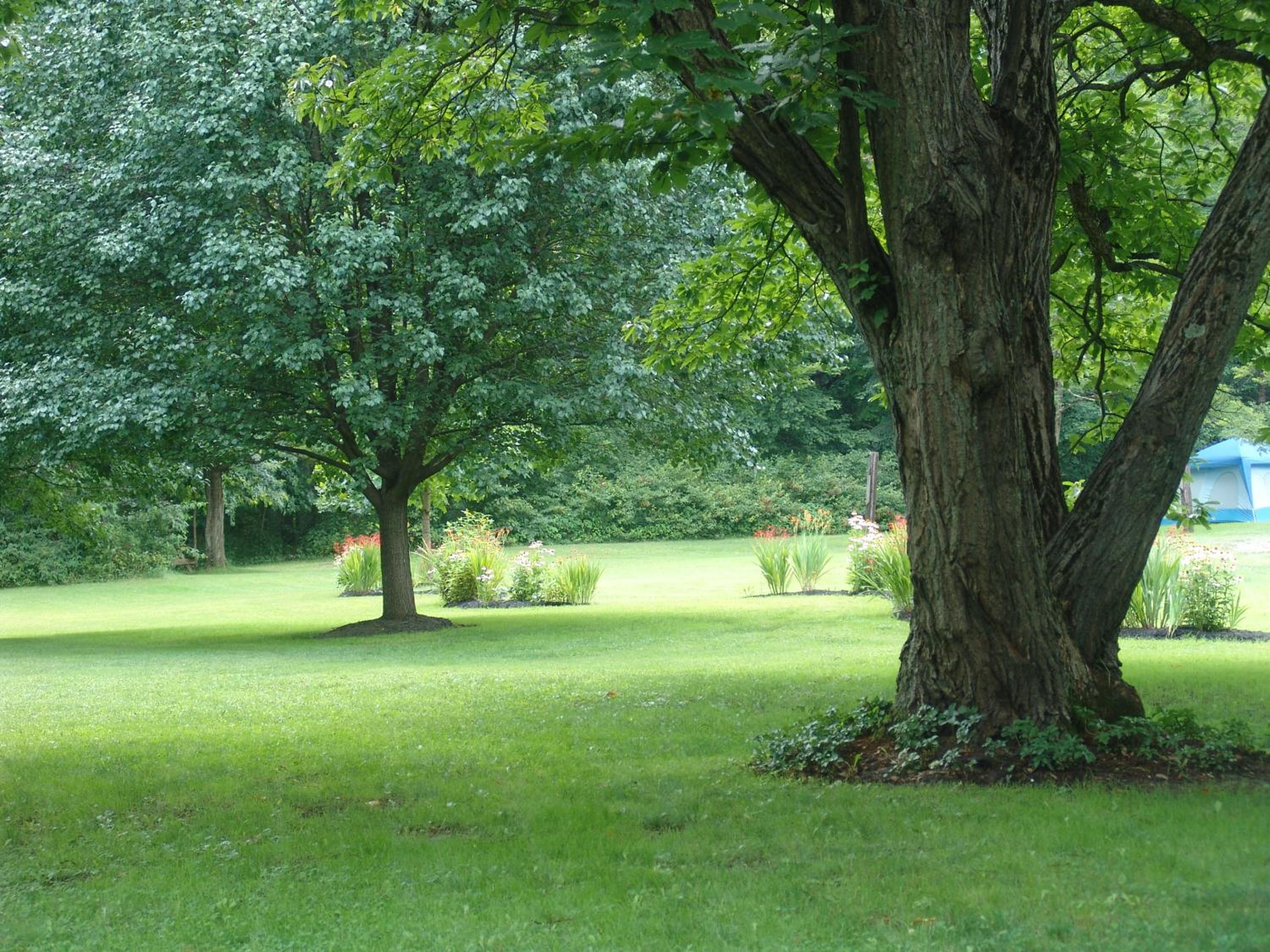 Paddler's Lane Retreat