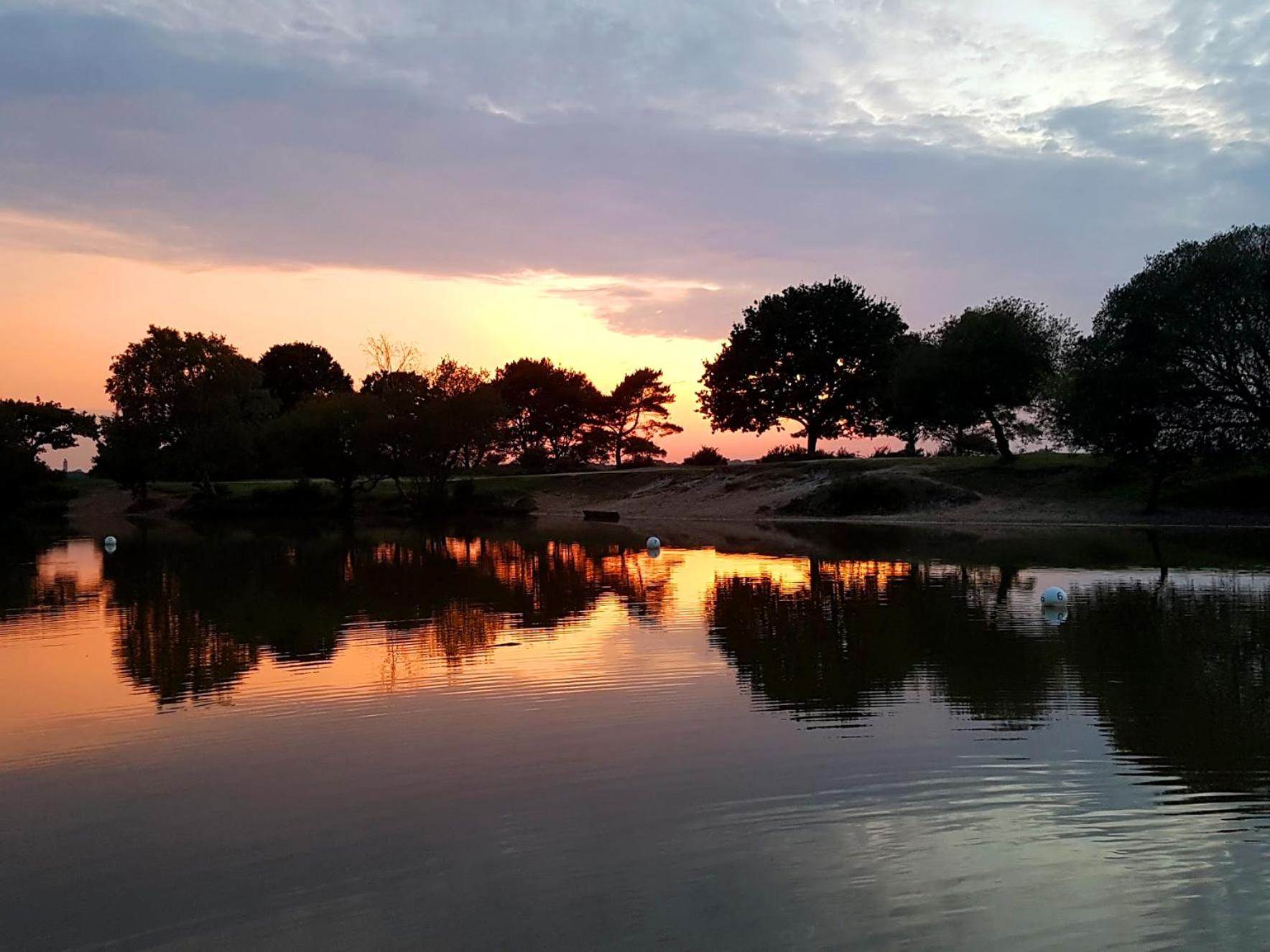 Wildwood B&B