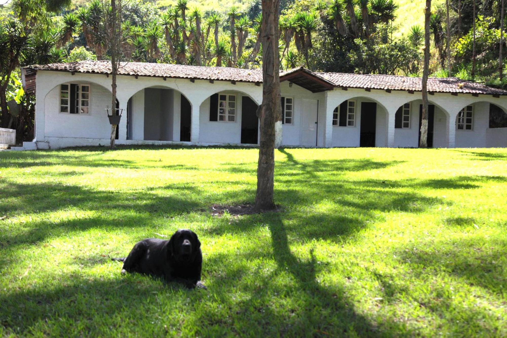 Hostería La Eterna Primavera