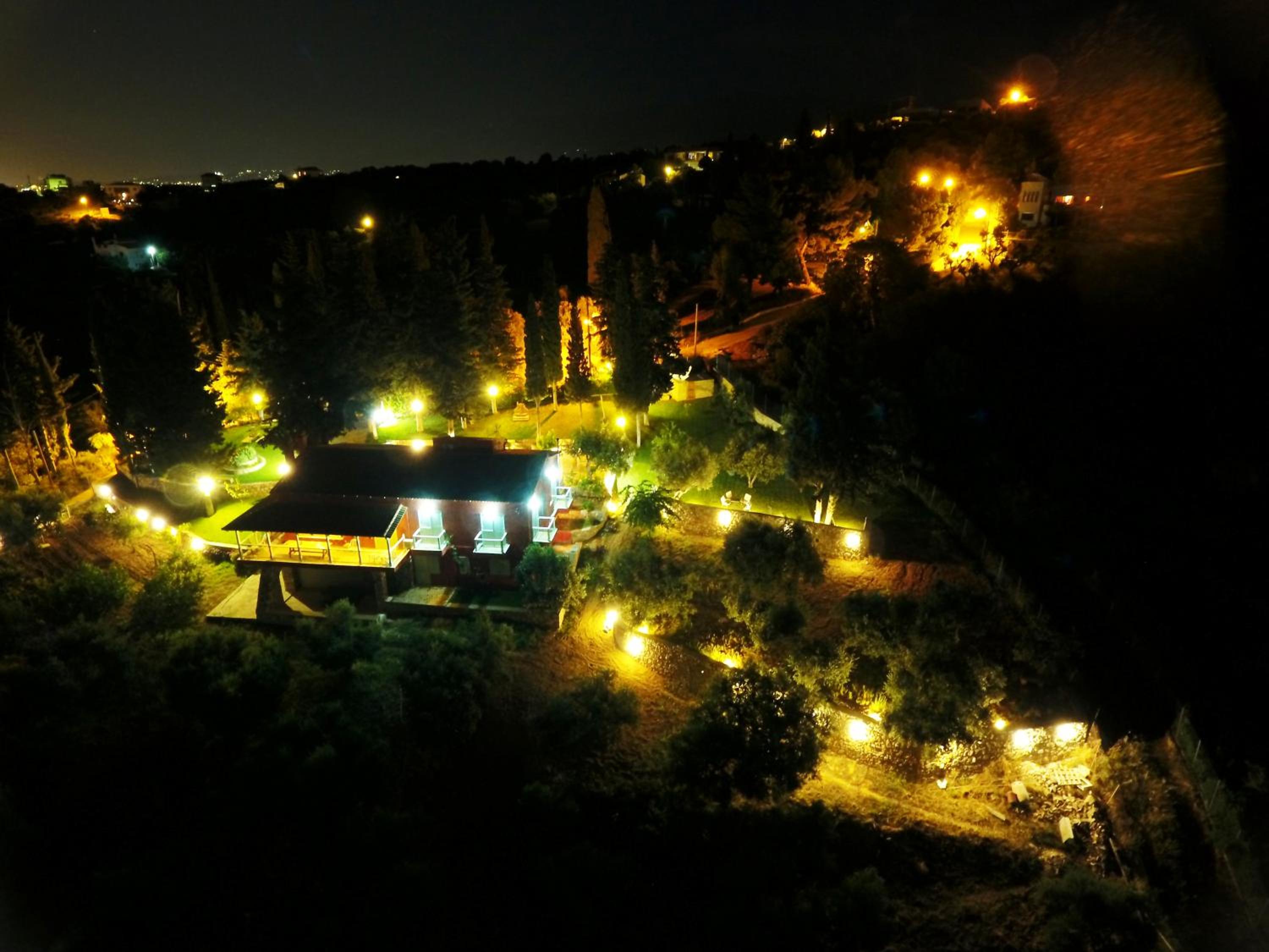 Photo 45