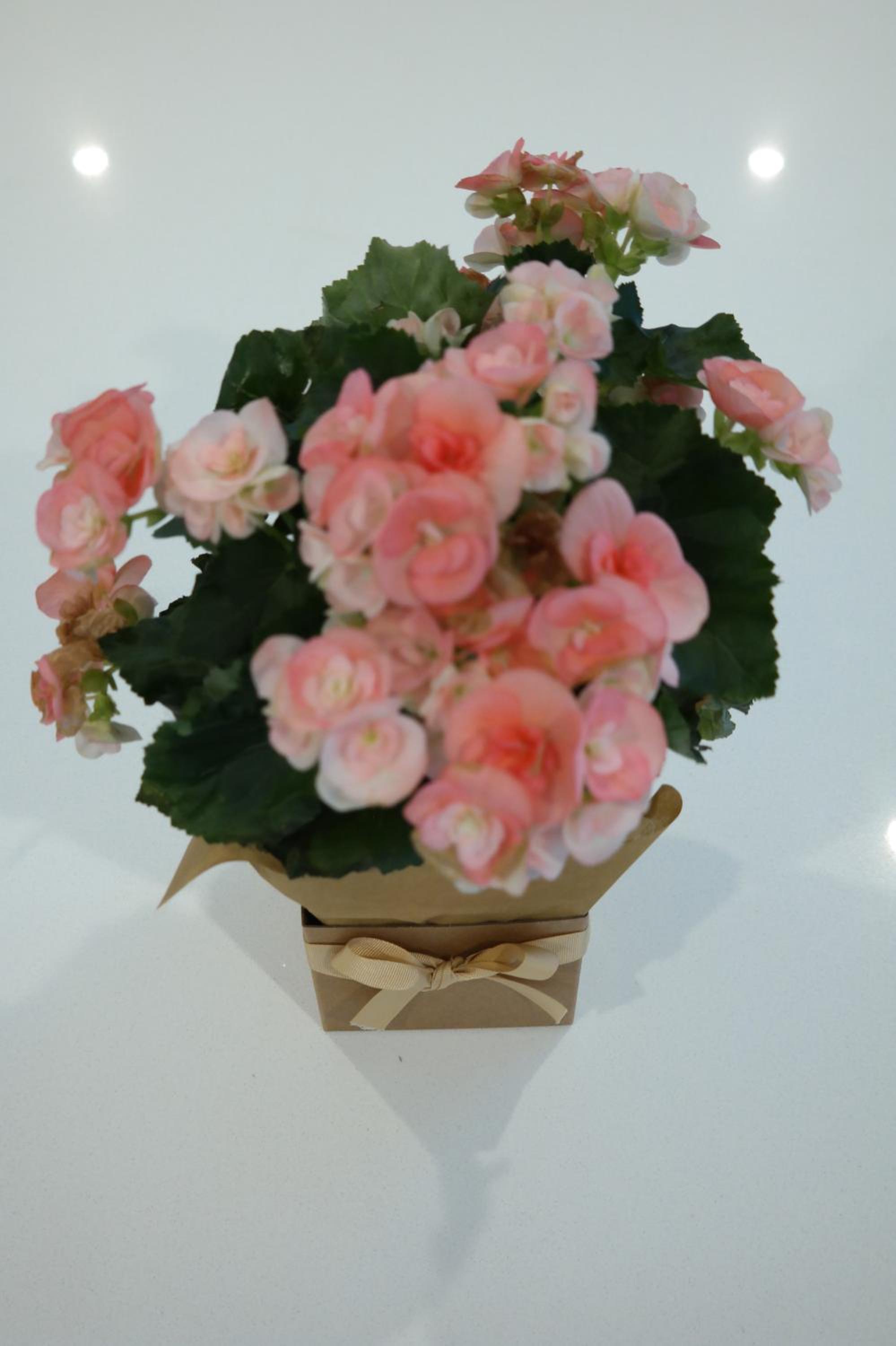 Photo 20