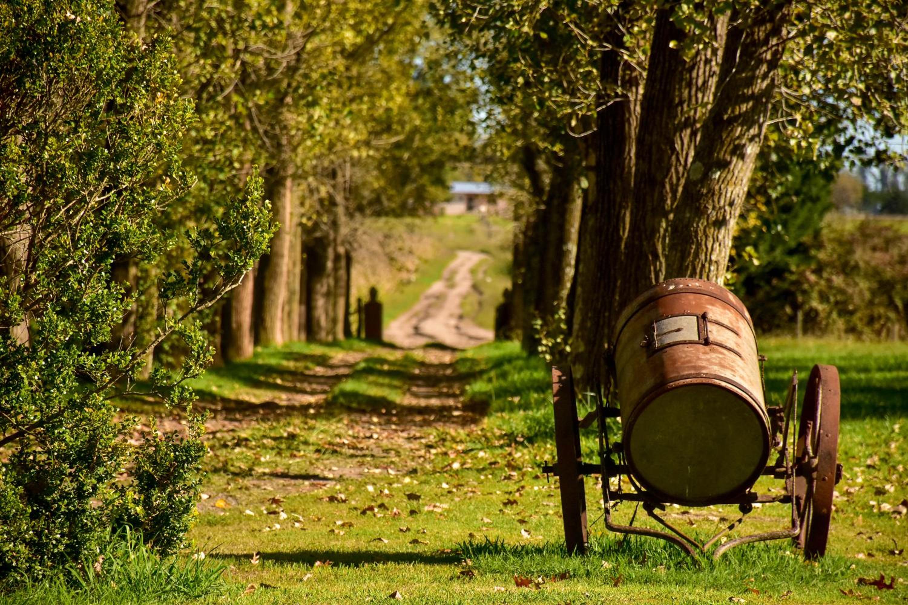 Los Vagones de Areco