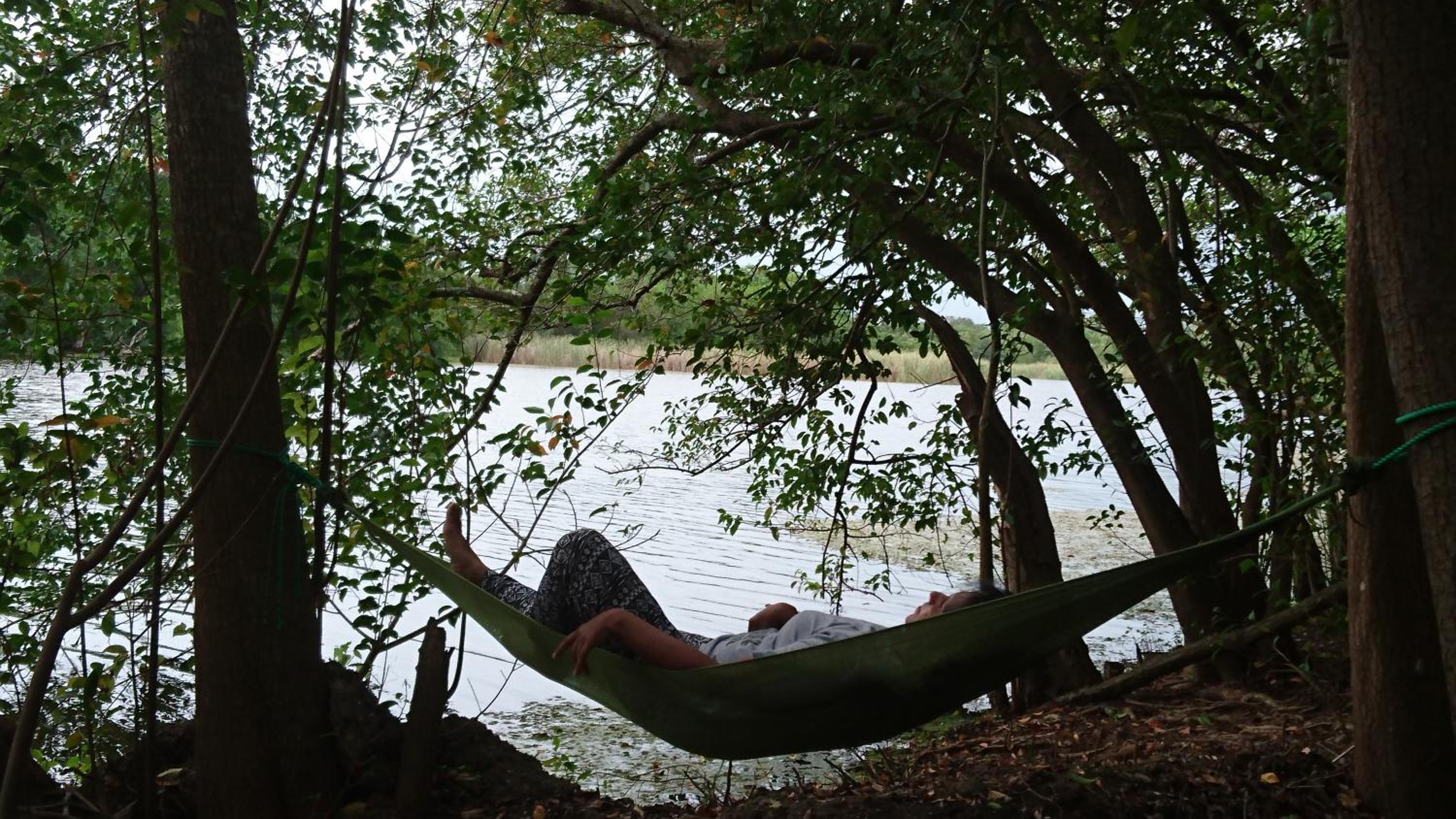 The Backwaters Lodge