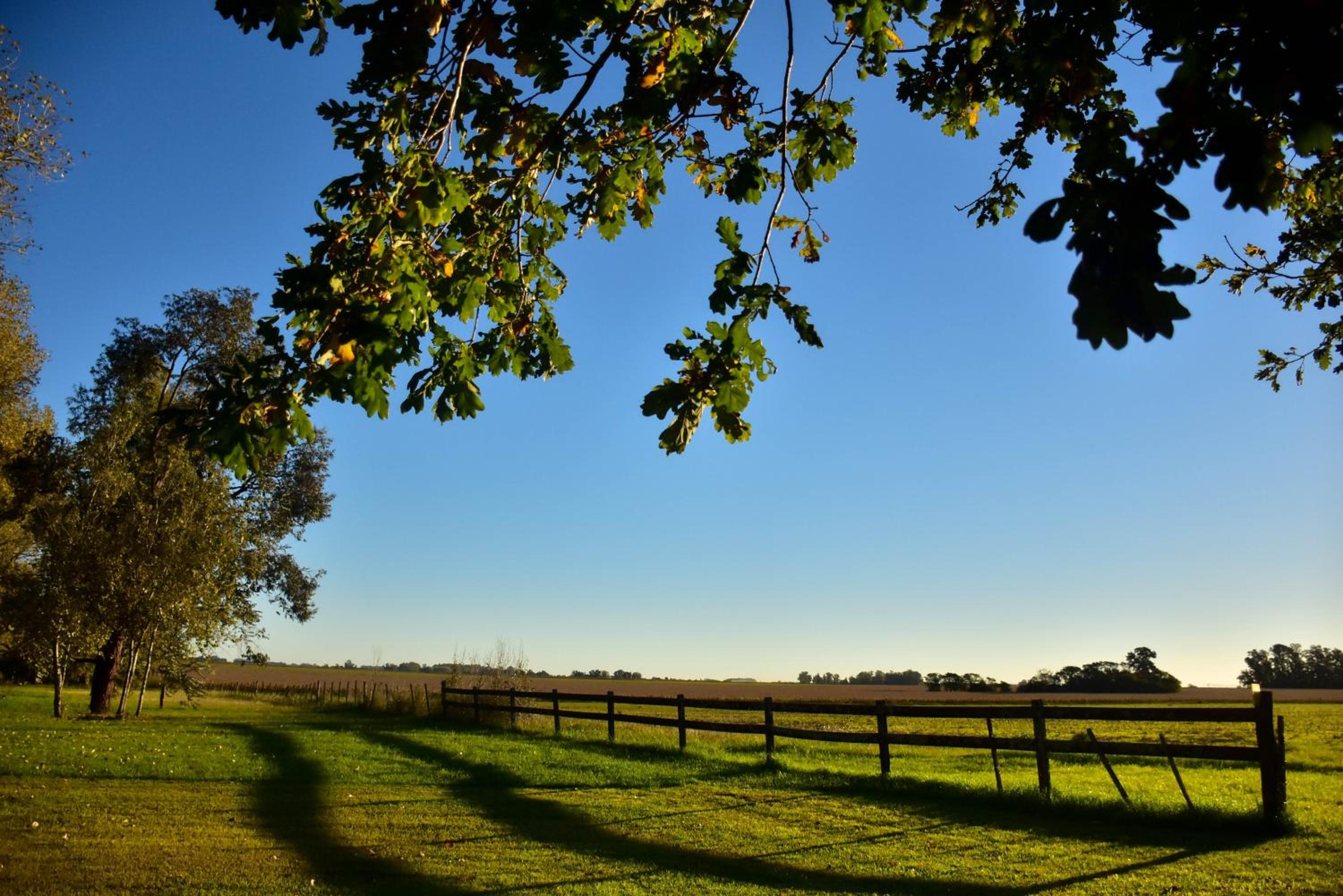 Los Vagones de Areco