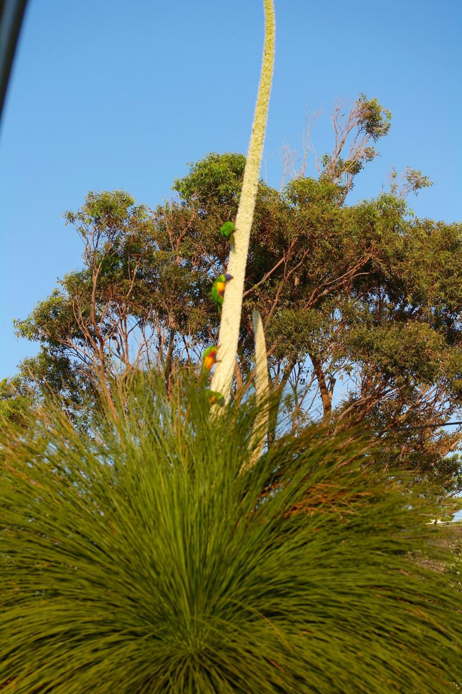 Photo 19