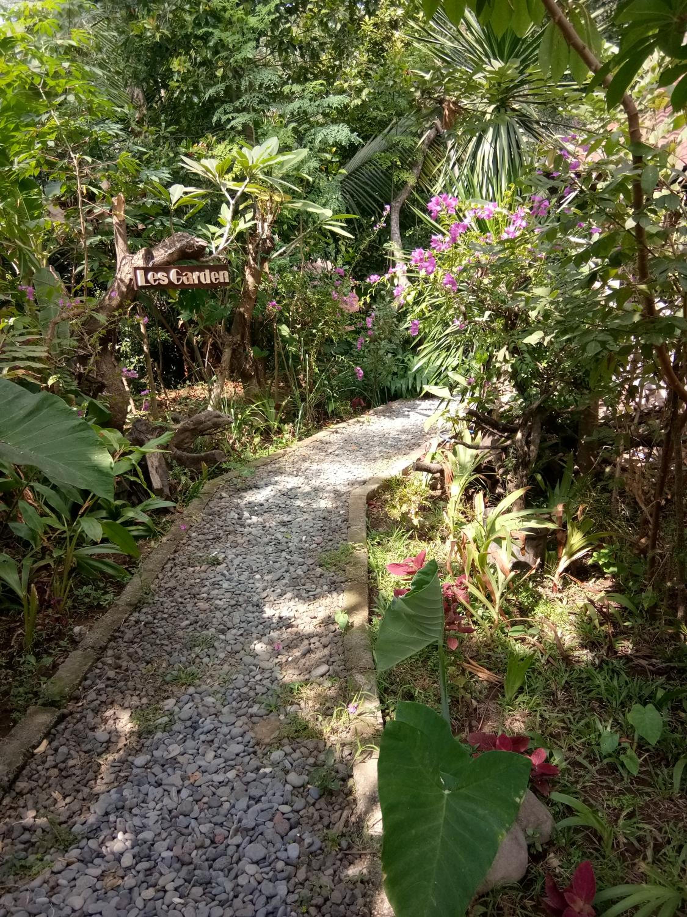 Photo 52