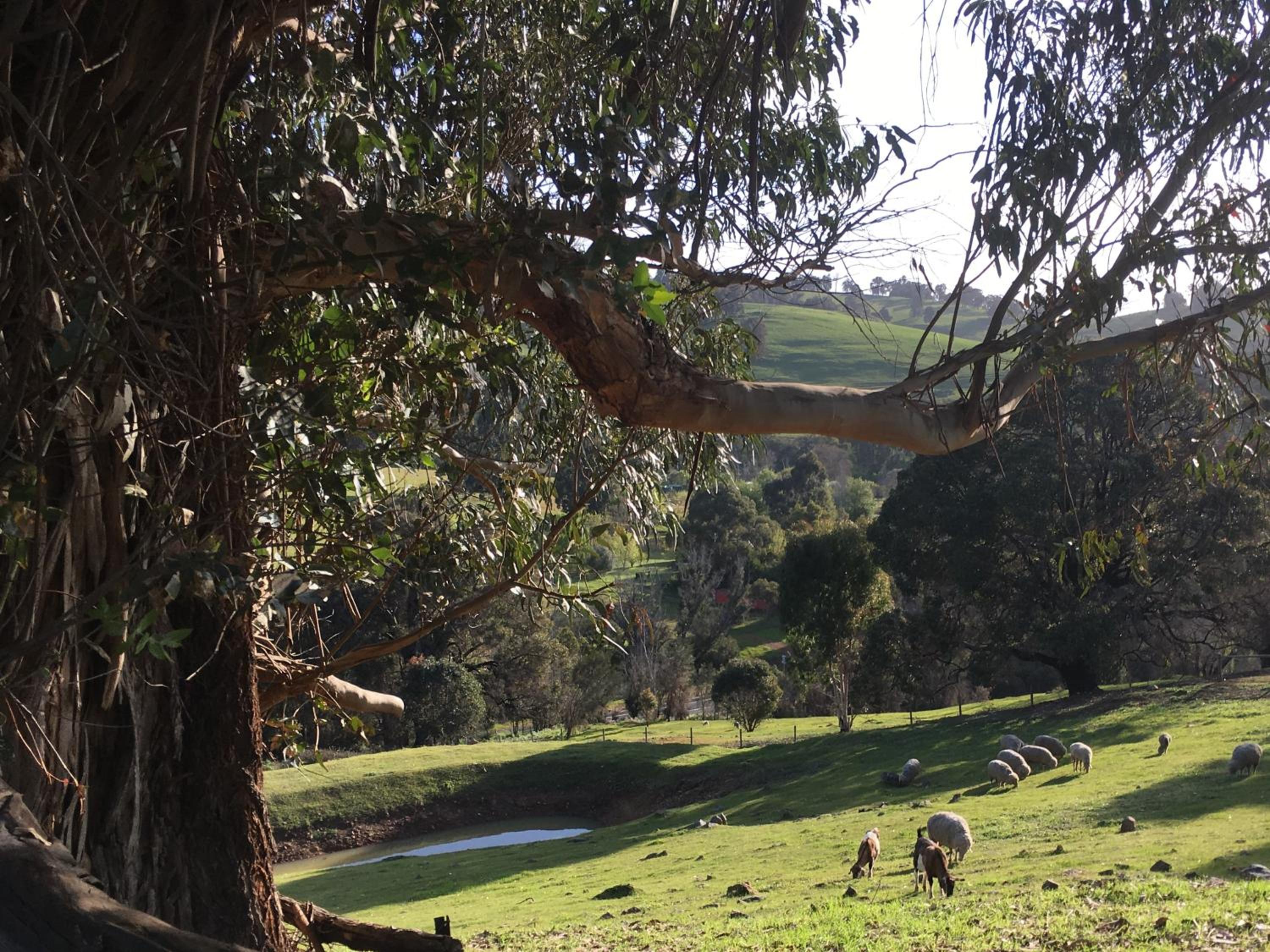other