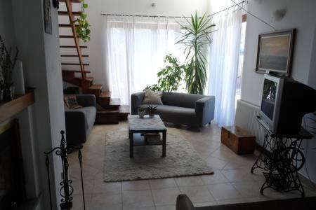 Diófás Guesthouse