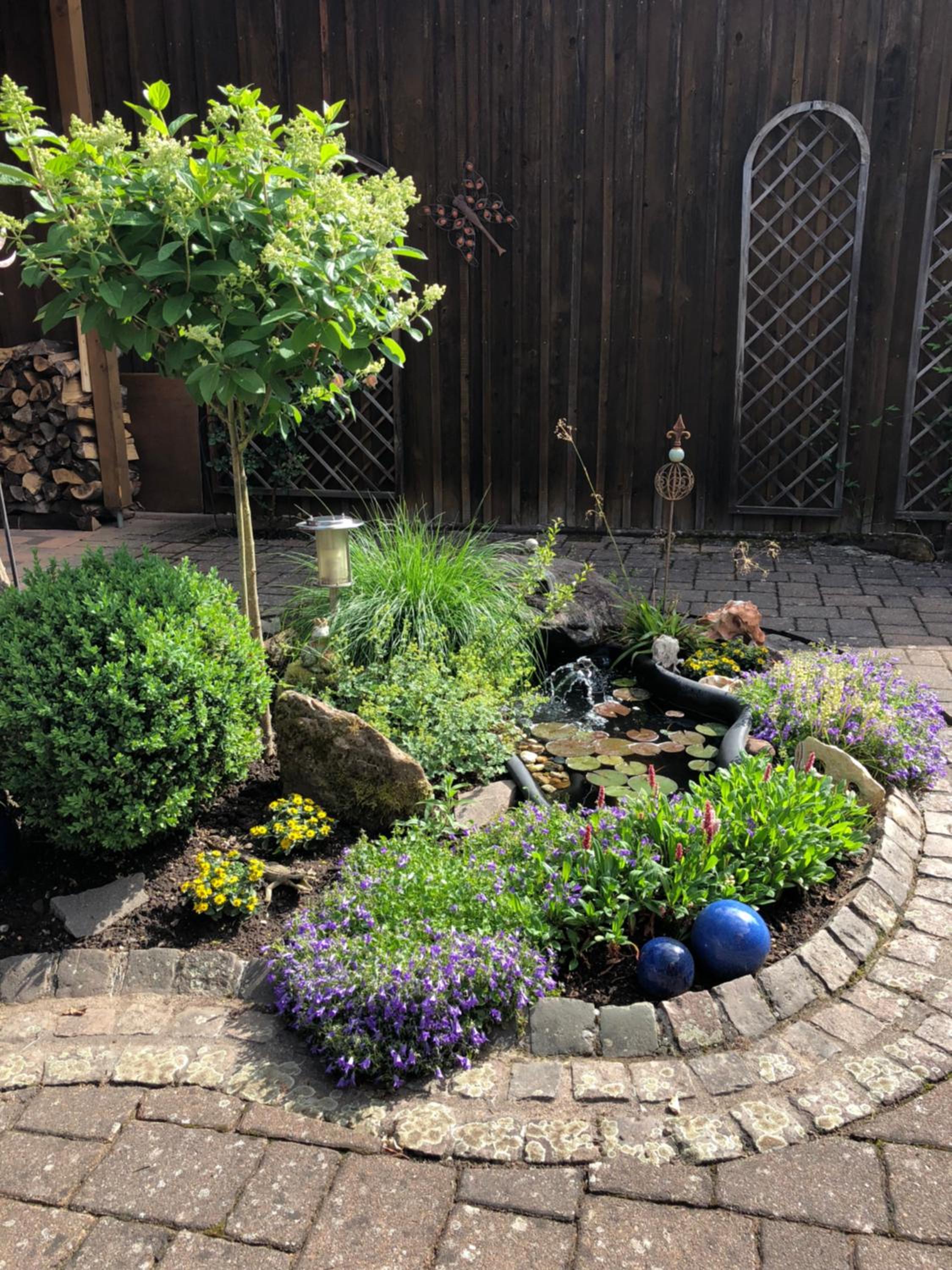 Photo 18