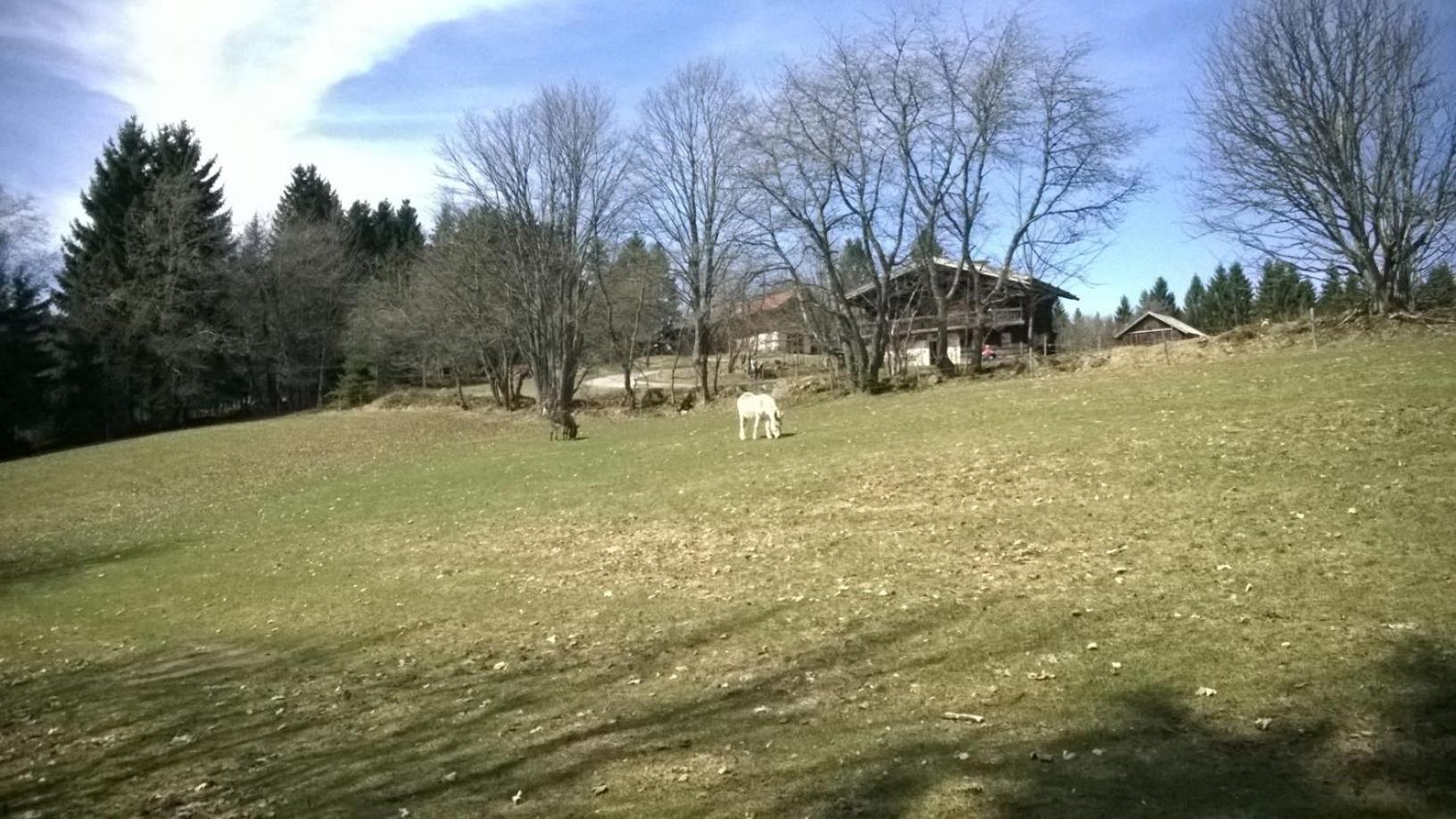 Haus Annemarie