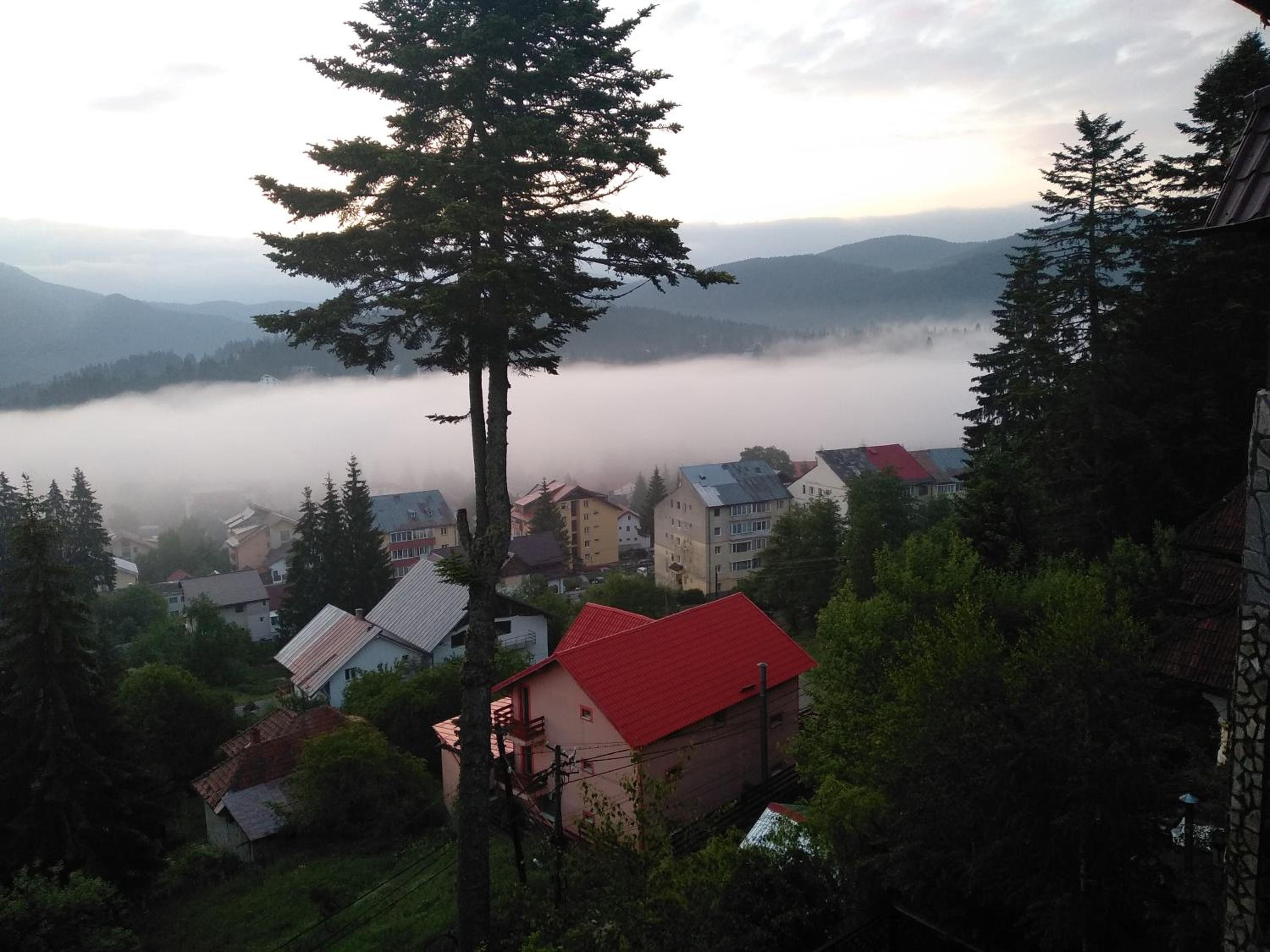 Pensiune turistica Milcov-VLADET view 3
