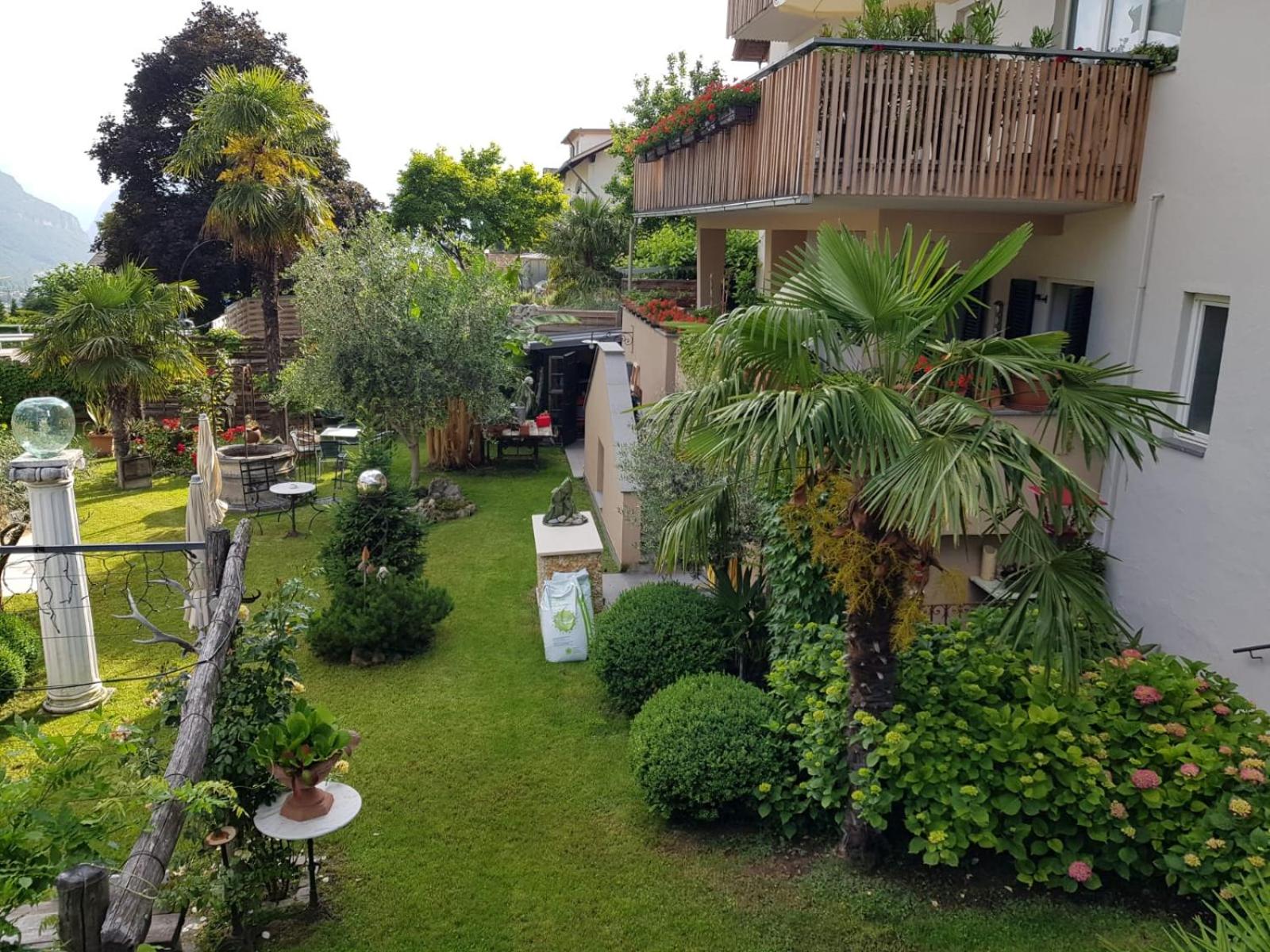 B&B Pizzeria Zur Traube